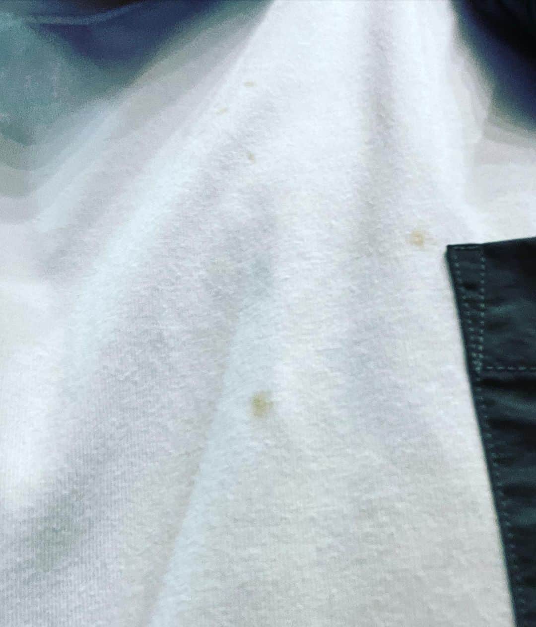セルライトスパ大須賀さんのインスタグラム写真 - (セルライトスパ大須賀Instagram)「今日は6パターンの新ネタライブでした。  リハと本番の間にチョコザップ行こうとしたら運動用のパンツを忘れたのでやめました。 チョコザップの方針と合ってませんが、私服で汗かきたくないから。  代わりにマツヨシ大飯店でラーメンを頂きました。  M-1準々決勝に進出出来ました。  ありがたやです。  僕が1番好きなありがたやのシーンは映画「手紙」の玉山鉄二さんのありがたやです。  いいねちょうだい」11月1日 22時19分 - spa_osuka