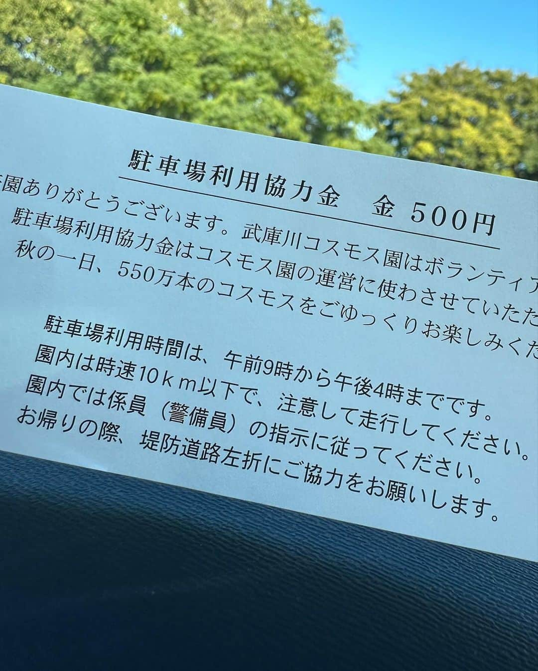 紗那ゆずはさんのインスタグラム写真 - (紗那ゆずはInstagram)「＊ お散歩オススメスポット🐶  ⭐️武庫川髭の渡しコスモス園⭐️  550万本のコスモスがお出迎えしてくれるスポット。 こちらは、駐車料金は500園かかりますが、入場は無料！ 木陰も多くあるので、シートを敷いてお昼やおやつを楽しむのもよし🙆‍♀️ わんちゃんと撮影を楽しむのもよし🙆‍♀️  癒しの時間を過ごす事ができます。  ただ、土日は混雑が予想されますので、平日の方がオススメかなぁー？？ 我が家も末っ子のみ連れて、ゆっくり楽しんでまいりました♡  なぜか、季節外れの桜🌸まで咲いていて、なんだかお得気分🤭  キバナコスモスも綺麗だけれど、 スタンダード？な紫色が私は、やはり好きなようです。  皆さんはどちらがお好きですかー？ 教えてくださいね♡  住所→尼崎市常松2丁目及び西昆陽4丁目の武庫川河川敷（兵庫県動物愛護センター南側）  https://www.city.amagasaki.hyogo.jp/manabu/flower/082kosumosu.htmlより  #武庫川髭の渡しコスモス園 #コスモス畑 #わんこのいる生活 #わんことお出かけ #こどもとおでかけ #こどもとあそぶ  #ルナシェンヌ #わんこのふりかけ #宝塚歌劇団」11月1日 22時20分 - mitsuko_0318