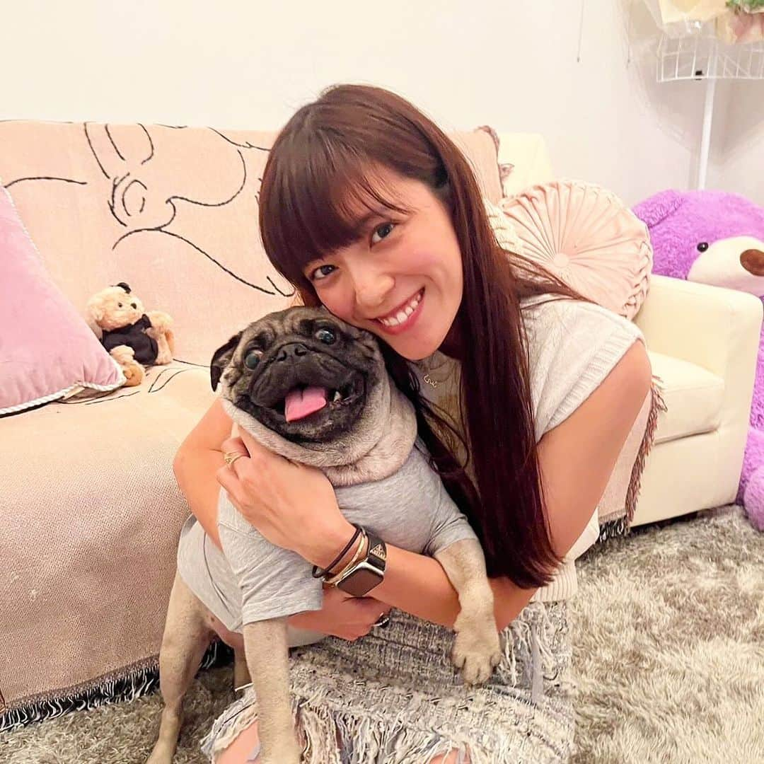 三谷紬さんのインスタグラム写真 - (三谷紬Instagram)「🐶♡ 今日は犬の日ということで… 足袋ちゃんは見飽きていると思うので 先日やっと会えたねおの愛犬『ぼん』くん♡ この人間のような表情がたまらん。 パグで8キロ級のぼんくん、 抱き慣れた足袋との体重差に 抱っこも一苦労でした😂 * #犬の日#いぬの日#ぼん くん#パグ#8キロ#足袋#ティーカッププードル#2キロ#人間#表情#素敵#可愛い#ドッグ#dogsofinstagram#dogstagram#いぬすたぐらむ#テレビ朝日#アナウンサー#三谷紬」11月1日 22時27分 - mitani_tsumugi