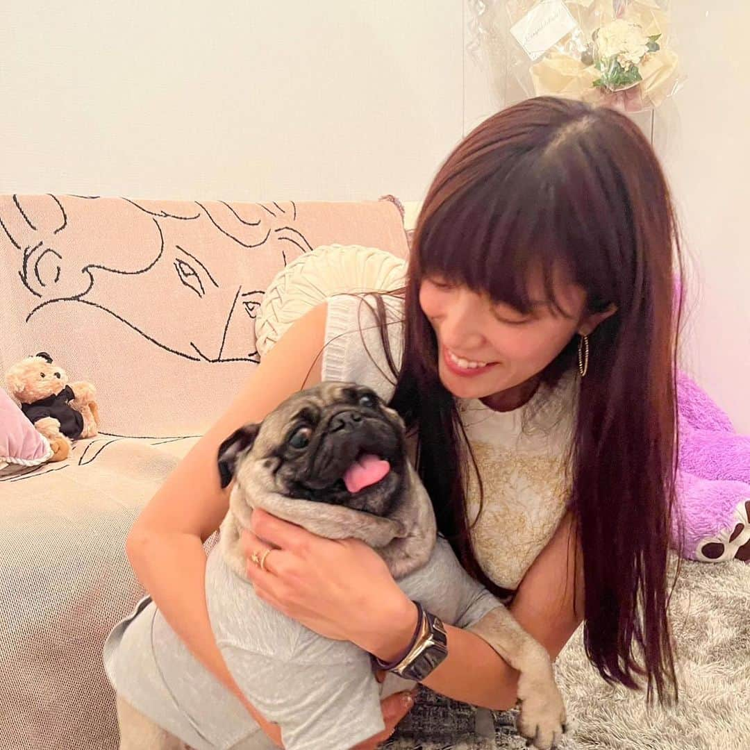 三谷紬さんのインスタグラム写真 - (三谷紬Instagram)「🐶♡ 今日は犬の日ということで… 足袋ちゃんは見飽きていると思うので 先日やっと会えたねおの愛犬『ぼん』くん♡ この人間のような表情がたまらん。 パグで8キロ級のぼんくん、 抱き慣れた足袋との体重差に 抱っこも一苦労でした😂 * #犬の日#いぬの日#ぼん くん#パグ#8キロ#足袋#ティーカッププードル#2キロ#人間#表情#素敵#可愛い#ドッグ#dogsofinstagram#dogstagram#いぬすたぐらむ#テレビ朝日#アナウンサー#三谷紬」11月1日 22時27分 - mitani_tsumugi