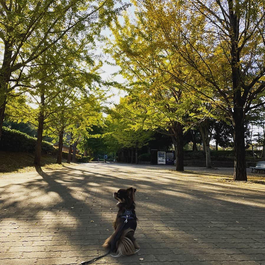 府川唯未のインスタグラム