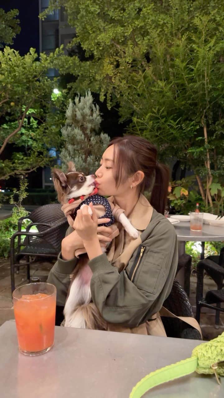 寺口智香のインスタグラム：「夜カフェ‎🤍愛してる🐶  @threefourtime_official のトレンチコート着て テラス席がちょうどいい‎🤍」