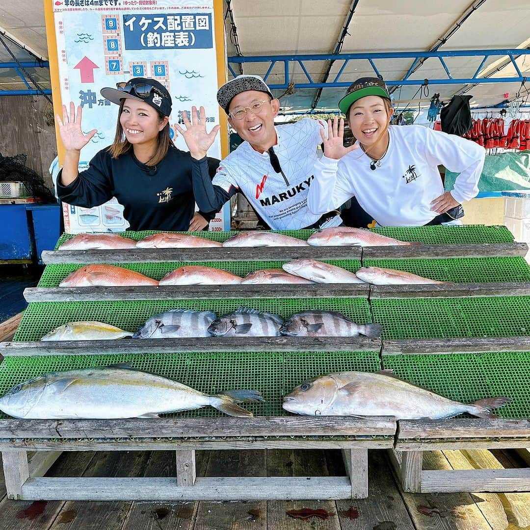 渕上万莉 さんのインスタグラム写真 - (渕上万莉 Instagram)「カタタの釣り堀🌴  マルキューYouTube撮影で北条さんと行ってきました😆✨ 円形筏で【前魚種を制覇せよ‼️】 というミッションが…🎥  #マダイ #シマアジ  #ヒサマサ  #カンパチ #イシダイ   3人で全制覇達成😆‼️✨✨  私たちのエサの付け方やローテーションなどをご紹介✨ リニューアルしたカタタの釣り堀のご紹介✨  YouTube 【マルキューJP】で検索🔍 見どころ満載だと思うので 是非観てねー🎣😆🙌🏽☀️  ■2023.10.17 和歌山県白浜市 カタタの釣り堀　円形筏  #カタタの釣り堀 #南紀白浜 #海上釣り堀 #マルキュー #マルキューjp #マルキューチャンネル #北条公哉 さん #にっしゃん #フッチー #ワクワクさん」11月2日 10時09分 - mari_fuchigami