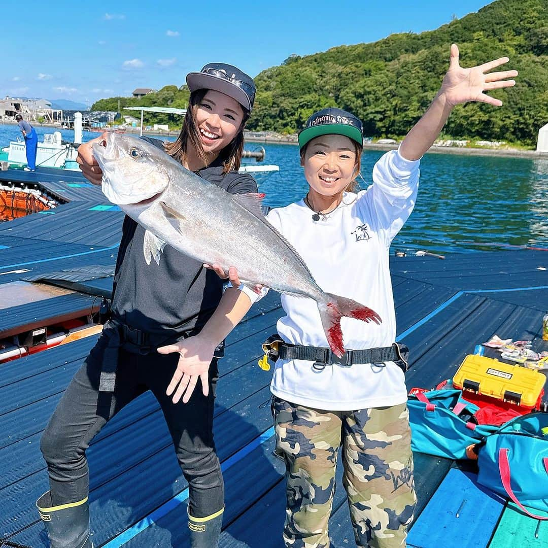 渕上万莉 さんのインスタグラム写真 - (渕上万莉 Instagram)「カタタの釣り堀🌴  マルキューYouTube撮影で北条さんと行ってきました😆✨ 円形筏で【前魚種を制覇せよ‼️】 というミッションが…🎥  #マダイ #シマアジ  #ヒサマサ  #カンパチ #イシダイ   3人で全制覇達成😆‼️✨✨  私たちのエサの付け方やローテーションなどをご紹介✨ リニューアルしたカタタの釣り堀のご紹介✨  YouTube 【マルキューJP】で検索🔍 見どころ満載だと思うので 是非観てねー🎣😆🙌🏽☀️  ■2023.10.17 和歌山県白浜市 カタタの釣り堀　円形筏  #カタタの釣り堀 #南紀白浜 #海上釣り堀 #マルキュー #マルキューjp #マルキューチャンネル #北条公哉 さん #にっしゃん #フッチー #ワクワクさん」11月2日 10時09分 - mari_fuchigami