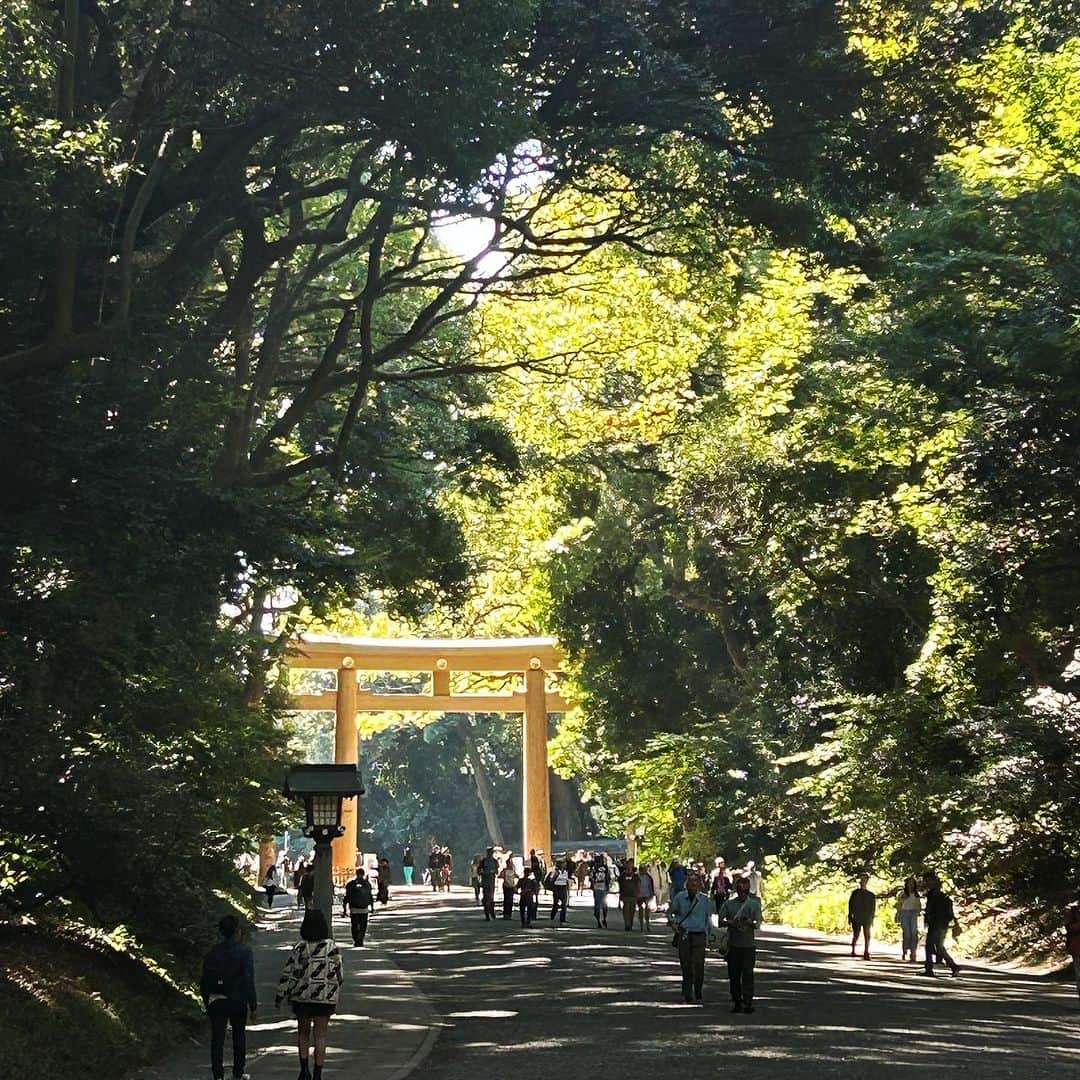 津久井智子のインスタグラム：「今年も明治神宮にも無事にご挨拶できました◎ 明日も例祭だそうなので、早起きできたら行きたいな。」