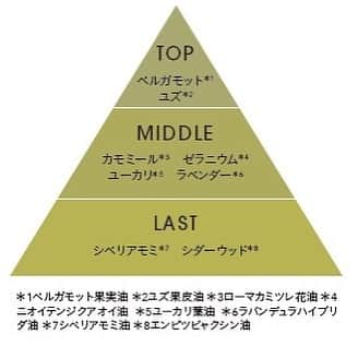 forganicsさんのインスタグラム写真 - (forganicsInstagram)「CHAMOMILE＆FIR TREE(カモミール＆モミノキ)  森林の中で深呼吸しているような、やすらぐ気持ちを誘う香り　  シベリアモミ、シダーウッドのようなビターで重く温かな素材をベースに、爽やかなシトラスやユーカリを加えて、まるで深い森の中にいるような澄んだ空気感を感じられるような仕上がりに。  さらに、カモミールを組み合わせることで、ゆったりと安らぎのあるひとときを楽しんでいただけるよう調香しました。 キット限定の特別なフレグランスです。  ■Product ナチュラルハンドクリーム ミニキットA 各25g 3,960円（税込）  取り扱いブランド @cosmekitchen  @biople  @makeupkitchen_official   #forganics #エッフェオーガニック #ナチュラルハンドクリームミニキット #ハンドクリーム #カモミール #モミノキ #ローズ #イランイラン #ユーカリ #レモングラス #限定 #保湿 #乾燥 #ハンドケア #森林の香り」11月2日 9時00分 - forganics_jp