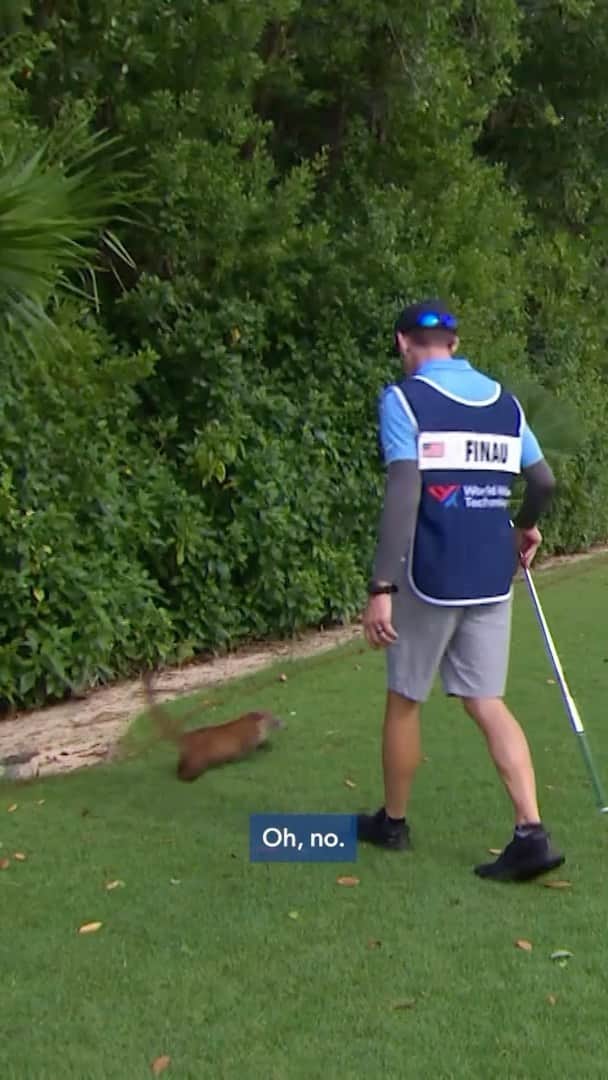 PGA TOURのインスタグラム：「@TonyFinauGolf had an unexpected visitor on the course last year @WWTChampionship 👀  #TOURVault」