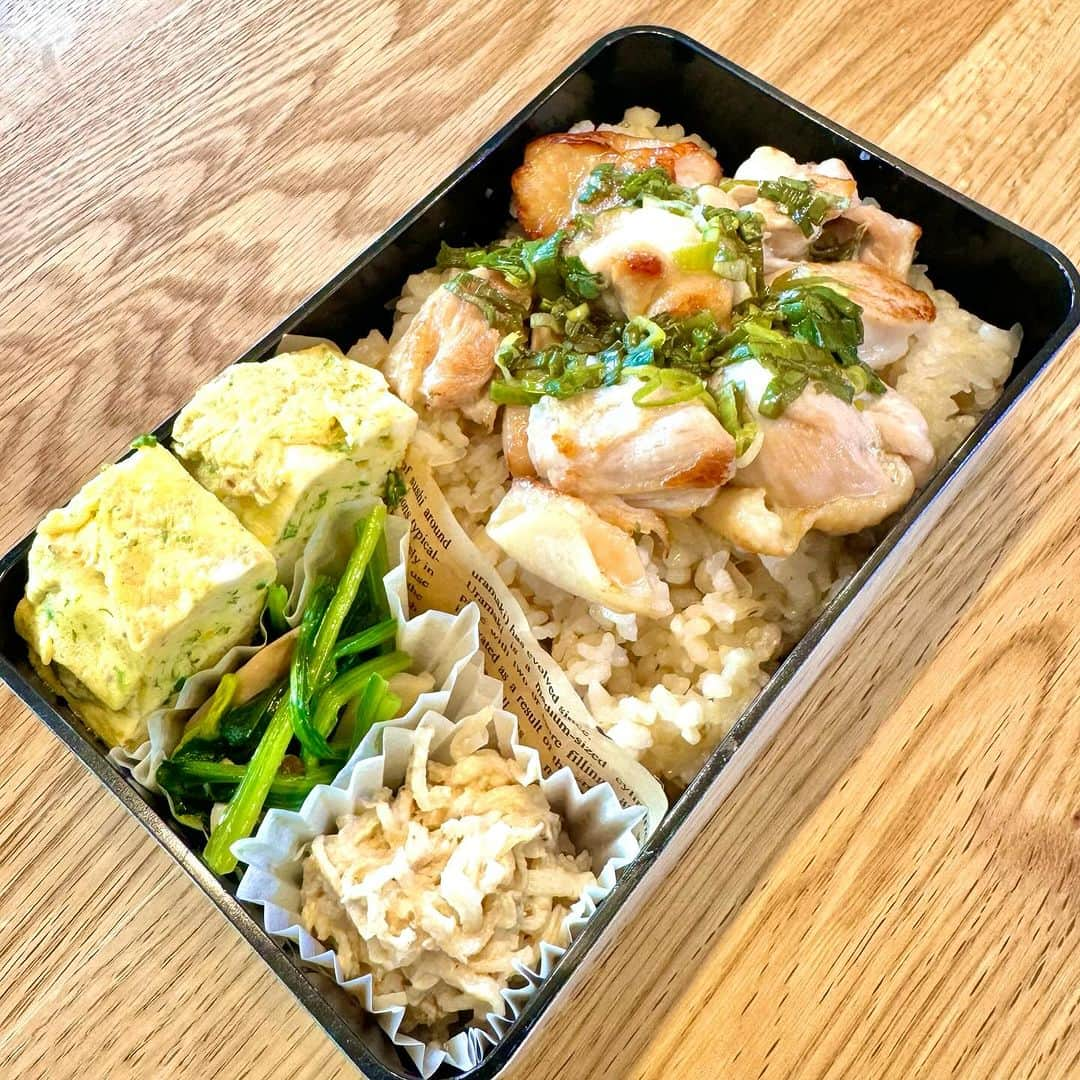 おちあやこさんのインスタグラム写真 - (おちあやこInstagram)「今日の夫弁当。  夫の誕生日です。  誕生日でコレかい…  と自分でも思ってます。  鶏もものネギ塩だれ だし巻き卵 ほうれん草とエリンギのバタポン 切り干し大根サラダ  地味ね  だからと言って、晩ごはんを豪華にするわけでもありません。  おでんが良いんだってさ。 　 誕生日おでん  地味ね  でもね、ケーキは予約しましたよ  #今日の夫弁当 #今日のお弁当 #お弁当 #弁当記録 #あと6日　#夫の誕生日#地味弁#46歳おめでとう」11月2日 9時22分 - ayako_ochi_fukuoka