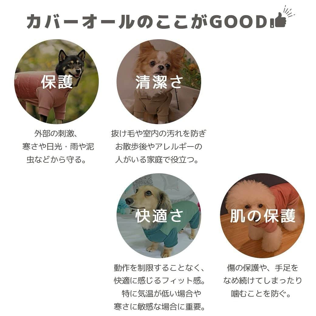 iDog&iCatさんのインスタグラム写真 - (iDog&iCatInstagram)「★新商品★  中綿入りのあたたかい冬用の愛犬用の防寒カバーオール。 軽くて暖かい愛犬用つなぎは寒がりな子にピッタリ。 袖と前身ごろにフリース素材を使い、軽く仕上げた寒い日も元気に走り回れる防寒つなぎです。  商品番号/17011- 商品名/ツートンわんぱくつなぎ 3,630円(税込)  #IDOGICAT #犬の服IDOG #ICAT #IDOG #ドッグウェア #ペットウェア #犬服 #犬の服 #秋冬新作 #2023AW #犬 #猫 #新作 #新発売 #dog #cat #わんすたぐらむ #うちの子優勝 #秋冬 #新商品」11月2日 9時31分 - idogicat