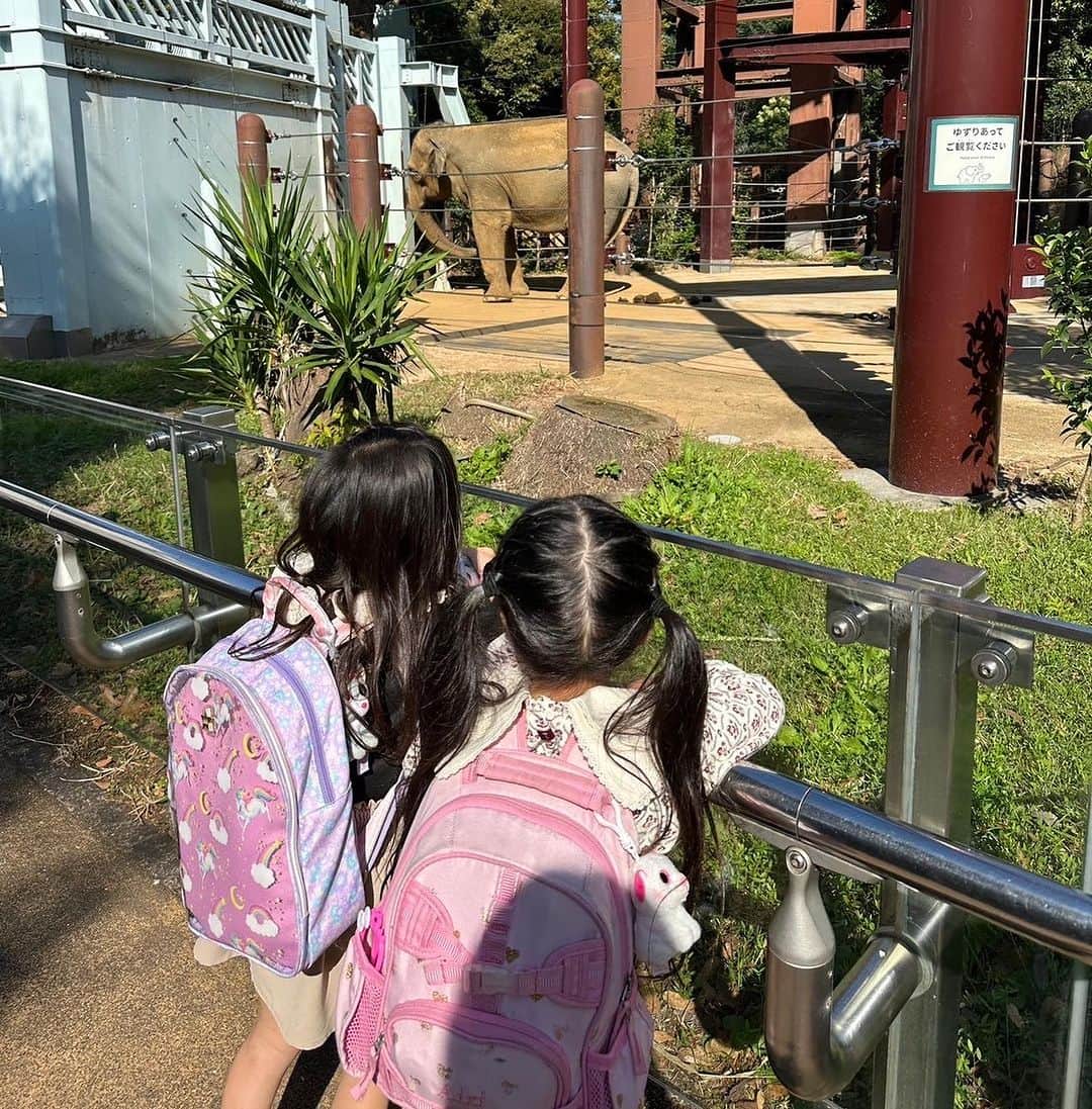 浅見れいなさんのインスタグラム写真 - (浅見れいなInstagram)「昨日は幼稚園お休みで、娘の相棒と動物園へ🐻 いつも息子がいるので、娘だけとお出かけは久しぶり🤲 ゆっくりのんびり沢山遊びました🫶  @babysleepschool_tokyo_yuko  ちゃんが一生懸命ケンケンパの⭕️を書いてくれてる🤲  沢山歩いくから、動きやすい服装で。 @nave_jp  のニットカーデはお尻まで隠れるシルエットが好き❤️」11月2日 9時53分 - reina_asami