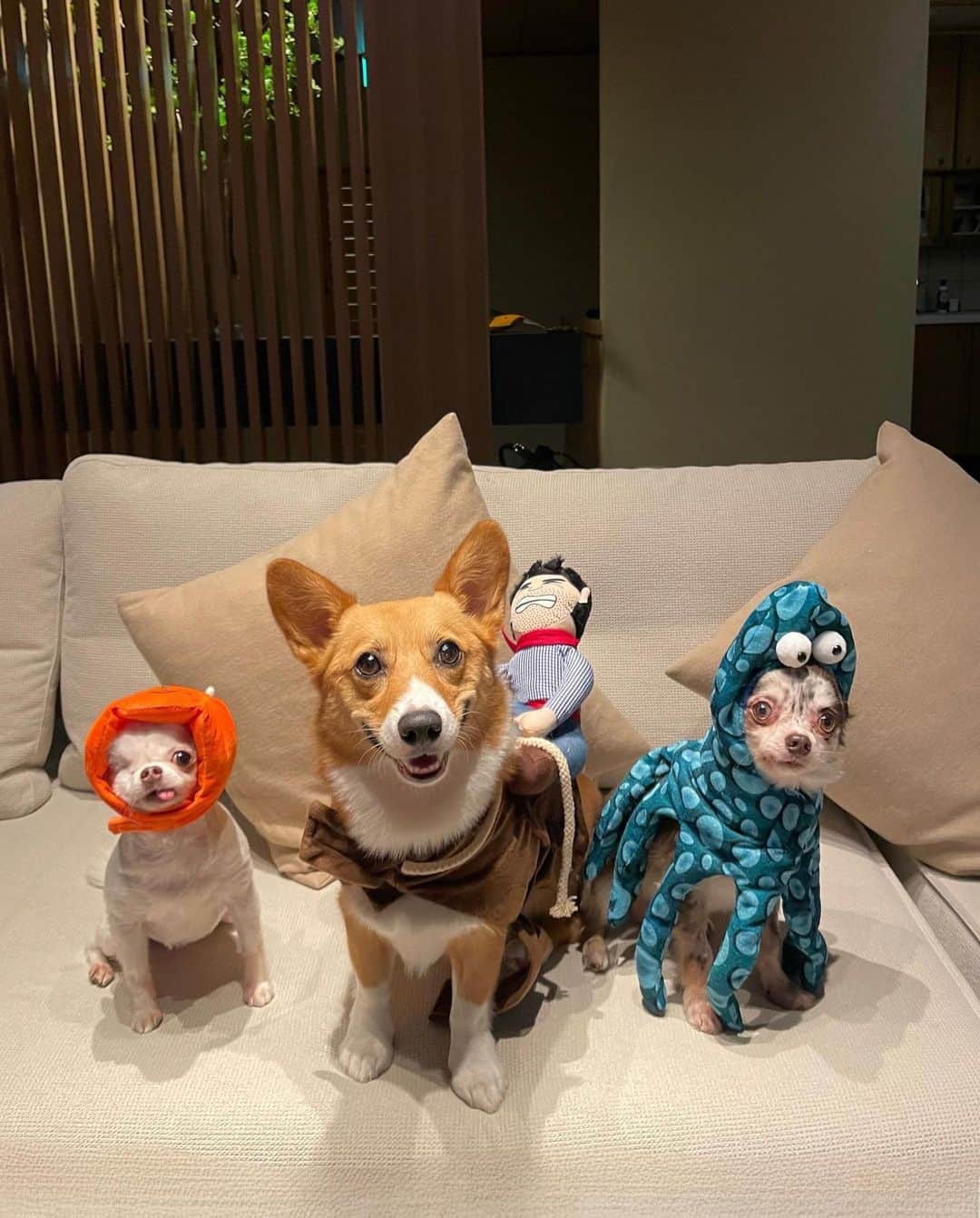 立野リカのインスタグラム：「October diaries 🎃👻🩷」