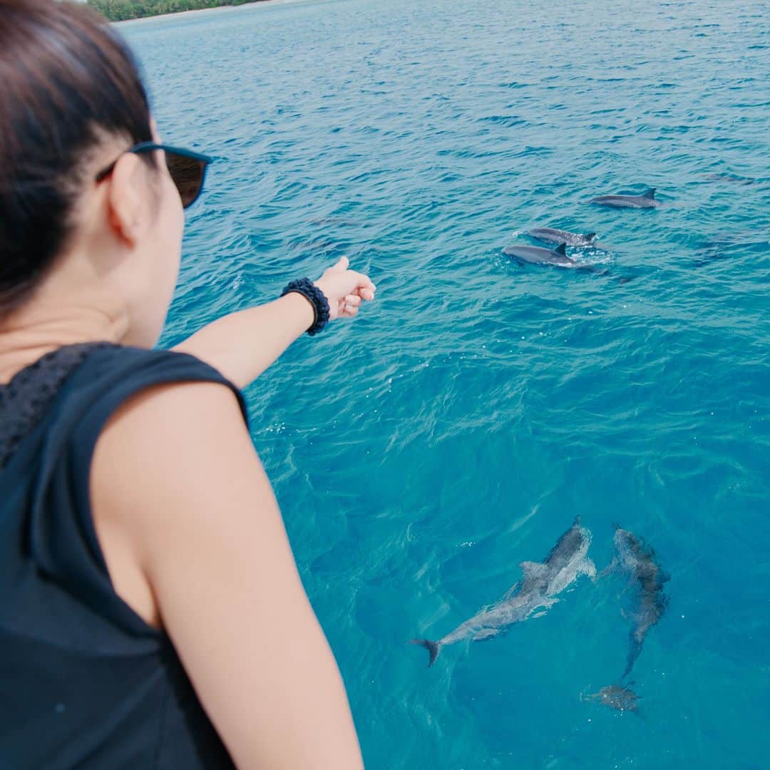 グアム政府観光局のインスタグラム：「グアムの海には野生のイルカが多く生息しています。  イルカウォッチングツアーでは、水族館で見るのとはまた違い、大海原でのびのび泳ぐ野生のイルカの姿や海の広さを実感できます。  イルカの群れに遭遇する確率は約90%で、運が良ければトビウオの群れやアオウミガメに遭遇することもありますよ♪  日本ではなかなか体験できないドラマチックな感動をぜひお楽しみください。  #hereweguam #Guam #グアム #insta #weekend #instagood #instaphoto #旅行 #海外旅行 #instagram #グアムイルカウォッチング #イルカウォッチング #ドルフィンウォッチング #イルカ #野生のイルカ #クルージング #マリンアクティビティ」