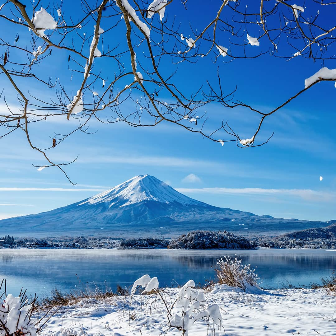 AIR CANADAさんのインスタグラム写真 - (AIR CANADAInstagram)「Like that first moment at the foot of Mount Fuji, winter in Japan is pure joy. Say Konnichiwa this season to magical forests, sublime hot springs, soothing soup, and illuminated nights. 🇯🇵 has it all! . . Tout comme le moment où on pose son premier regard sur le mont Fuji, l’hiver au Japon est féérique. Cette saison, dites Konnichiwa aux forêts enneigées, aux sources thermales sublimes, aux soupes réconfortantes et aux nuits illuminées. Le 🇯🇵 a tout pour plaire!」11月2日 1時03分 - aircanada