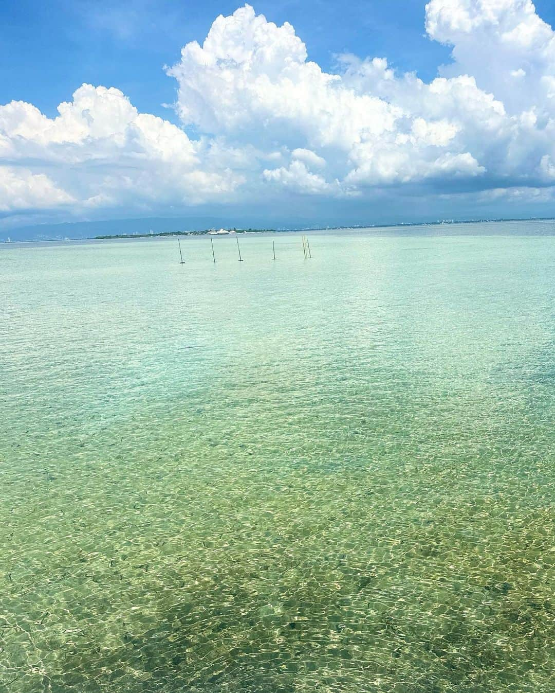 坂本夏海さんのインスタグラム写真 - (坂本夏海Instagram)「🌺🌴🍹👙🐠🍍🏖  ビタミンD生成中 🔆‬  かなり焼けた 〜 🫠   #ナルスアン島 #セブ #セブ島 #アイランドピクニック #アイランドホッピング  #フィリピン #セブ島旅行  #セブ島観光  #セブ島ツアー  #フィリピン旅行  #水着 #ビキニ #海外旅行 #アクアダイブ #cebu #cebuphilippines  #nalusuan  #nalusuanisland  #nalusuanislandresort  #japanesegirl  #nalusuanhopping  #Philippines #philippinestravel」11月2日 1時26分 - _nami_sakamoto