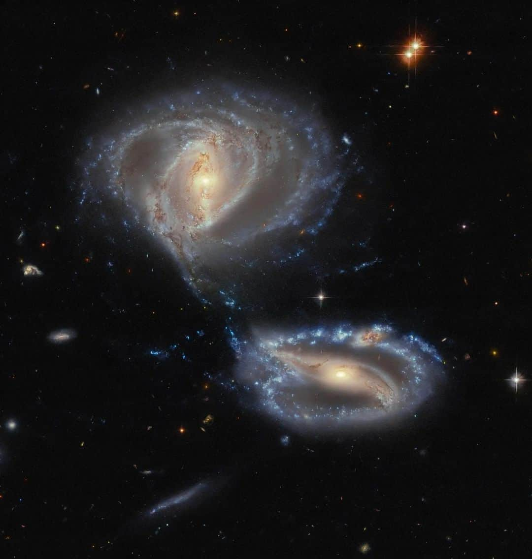 NASAのインスタグラム：「@NASAHubble captured notable galaxies NGC 7733 and NGC 7734, but a third galaxy can be spotted if you look carefully at the upper arm of NGC 7733.   Image description: Two spiral galaxies. Each glows brightly in the center, where a bar stretches from side to side. The upper one is rounder, and its arms form two thin rings. The lower galaxy is flatter and its arms make one outer ring; a dusty knot atop its upper arm marks out a third object. Gravity is pulling gas and dust together where the galaxies come close. A number of small galaxies surround them on a black background.」