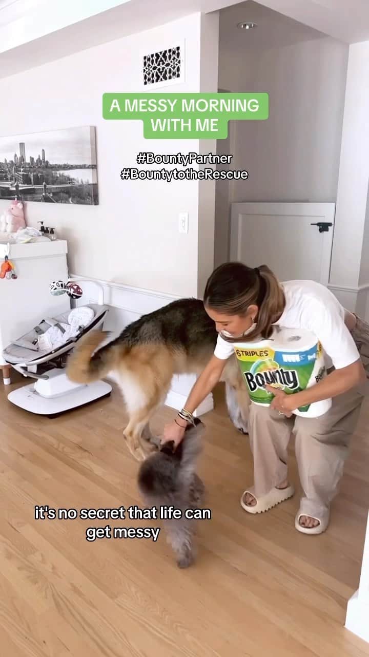 マリア・メノウノスのインスタグラム：「A typical morning with Max and Bobo! 😅 Shoutout to @bountypapertowels for helping me clean up any and every pet mess. This month, Bounty is coming to the rescue in more ways than one by picking up adoption fees at @bestfriendsanimalsociety sanctuaries so every animal can find a loving home.💚 #BountyPartner #BountytotheRescue」