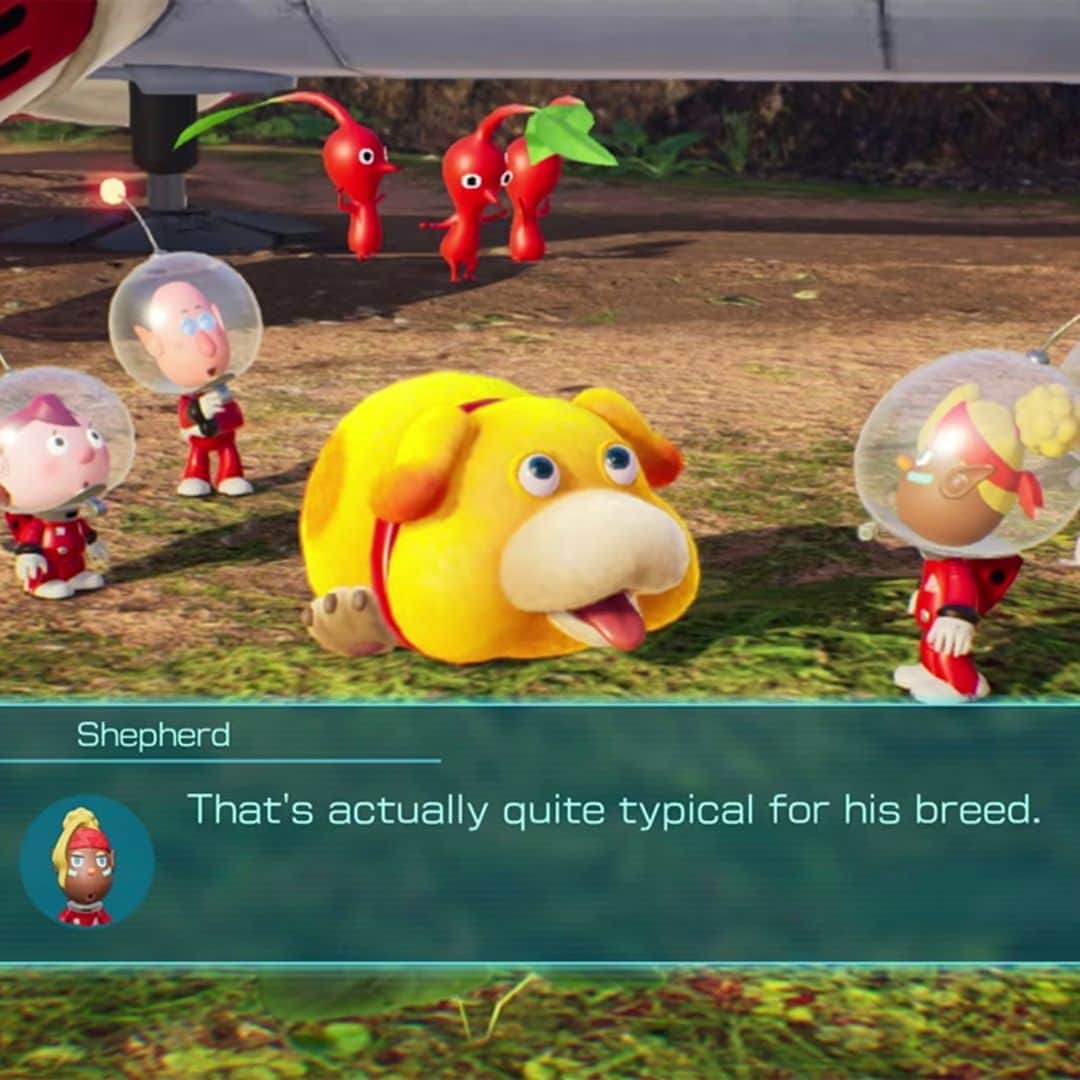 任天堂アメリカのインスタグラム：「What’s your favorite Oatchi quality? #Pikmin4」