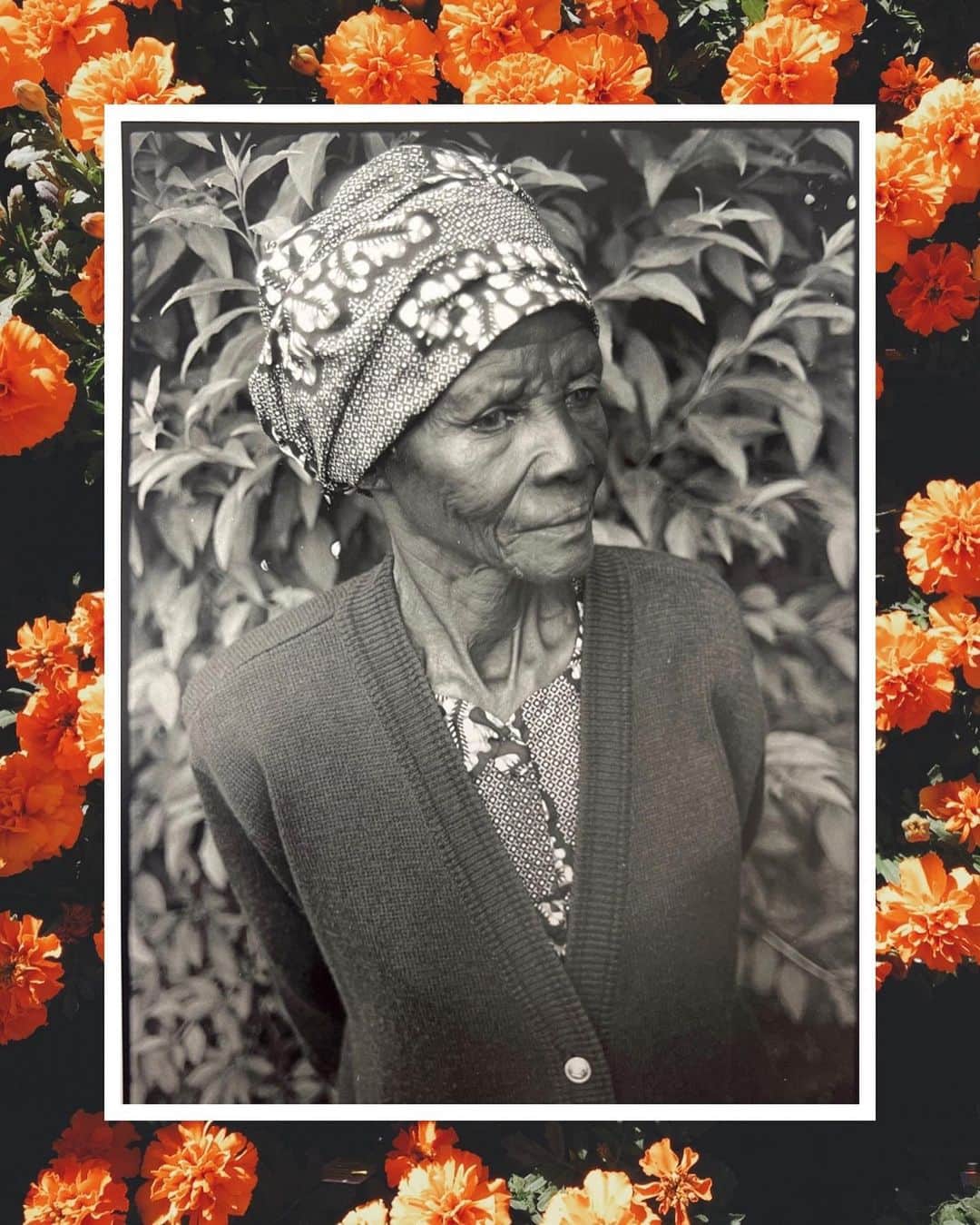 ルピタ・ニョンゴさんのインスタグラム写真 - (ルピタ・ニョンゴInstagram)「Remembering these three guardians on Dia de los Muertos.   Rosemell Jane Achieng was my maternal grandmother. We called her Nyanya, but her children called her Honey. And that pet name rang true: she was sweet like honey and wrapped me up in warm hugs like honey wraps itself around your fingers. She would tell me stories and listen to my childish worries with patience and understanding. She loved to be entertained by her grandchildren. She marveled at our creativity and cheered us on for our small achievements. I stuck to her when she was around. She was taken from us too soon.  I remember my paternal grandmother, Dorca Owino Amolo, always bent over, working. She was never idle. She picked corn from her farm, kernelled it, dried it in the sun, sent it to be ground into flour in the local mill, and then cooked it into large mounds of delicious Ugali for the whole family to eat. She grew vegetables, raised livestock, and fermented her own milk. She swept, washed, brushed, scrubbed, chopped, stirred, pounded, and rolled. And she did all of this quietly, swiftly, gracefully, and with joy. Grandma taught me that work can be an expression of love, and I learned how to love the work of my body from her.  I had the honor of meeting one of my all-time heroes, Sidney Poitier, and I introduced him to my father. Mr. Poitier’s story and journey lit the path for me as an African coming to America to pursue a career in acting. He did the impossible and he did it with grace and dignity. When I met him, Mr. Poitier offered to take me to lunch the next time I was in town. It took me over a year to gather the courage to reach out and take him up on it, and I am so glad I did! They say don't meet your heroes because they may disappoint you; I dined with mine and gained even more respect and admiration for him than I had before!」11月2日 3時31分 - lupitanyongo