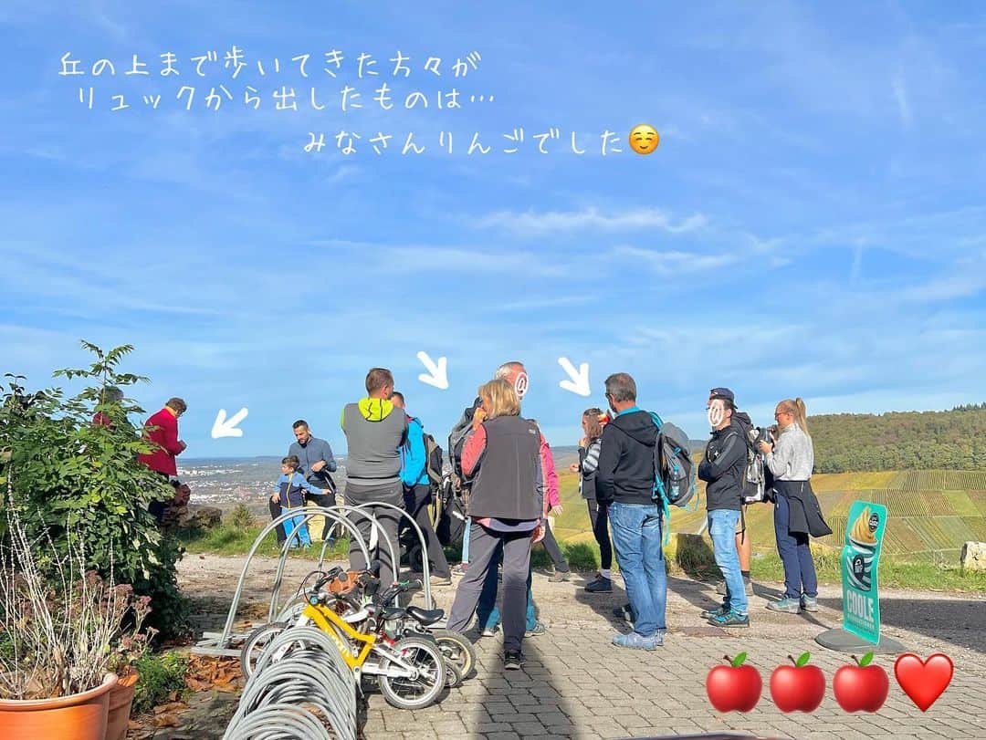 原口るりこさんのインスタグラム写真 - (原口るりこInstagram)「. . 【南ドイツ、丘の上のぽつんと一軒家… の裏のぶどう畑の紅葉を見ながらお散歩🍁】 . . 家がある丘の裏側のぶどう畑を通り 毎日チームへ通う🐏さん🍇 . 『ぶどう畑、今きれいだよ』 . と最近は帰宅するたびに言っていました。 . . 雨の日が続いていて 久しぶりに晴れた祝日の朝、 早起きしておにぎり、シュトーレン、コーヒーを持って 散歩に行きました🍁 . . ぶどう畑の紅葉ははじめてでした。 . 畑を縫うように歩くと 近くで見るぶどうの葉は 昨夜の雨が朝日に照らされ輝いていました。 その奥に映り込む向かい側の丘のぶどう畑の紅葉は 母の言葉を借りると『パッチワークのよう』で、 可愛らしくも感じました🍁 . . そろそろえならぴの大好きなりんごは 落ちていないかなと思ったのですが、 もう少しだけ 彼らの楽しみは続きそうです🍎 . . ところでドイツでは 握りこぶしくらいのりんごを 丸かじりしながら歩く人をよく見かけます。 山や丘の上でも、 頂上に着きリュックから徐に取り出すものは りんごの確率が非常に高い✨ . . 健康のためなのか 自然のもの（お菓子より果物）を愛しているからか （ドイツはbioのものも非常に多い） それか持ち運びも用意も簡単だからか？笑 （ドイツ人は効率的に物事を考えている方が多い） それとも ラップやジップロックのようなプラスチックを 自然のためになるべく使わないように気をつけている方が多いからか。 #どちらにしろ #見習いたいことがたくさん #ドイツ人の多くは愛を持って自然と接している . . 少しずつドイツに馴染んできたようで、 まだまだ知りたいこと教わりたいことは 増えるばかりです🍁 . . . . 秋の南ドイツを歩きながら 考えたことをひとつふたつ、、🍁 . . . みなさんは最近、秋の自然の中を 歩きましたか？ どんなことを考えて歩いているのだろう 良かったら共有してください☺️ #良い秋を」11月2日 5時03分 - ruriko_haraguchi24
