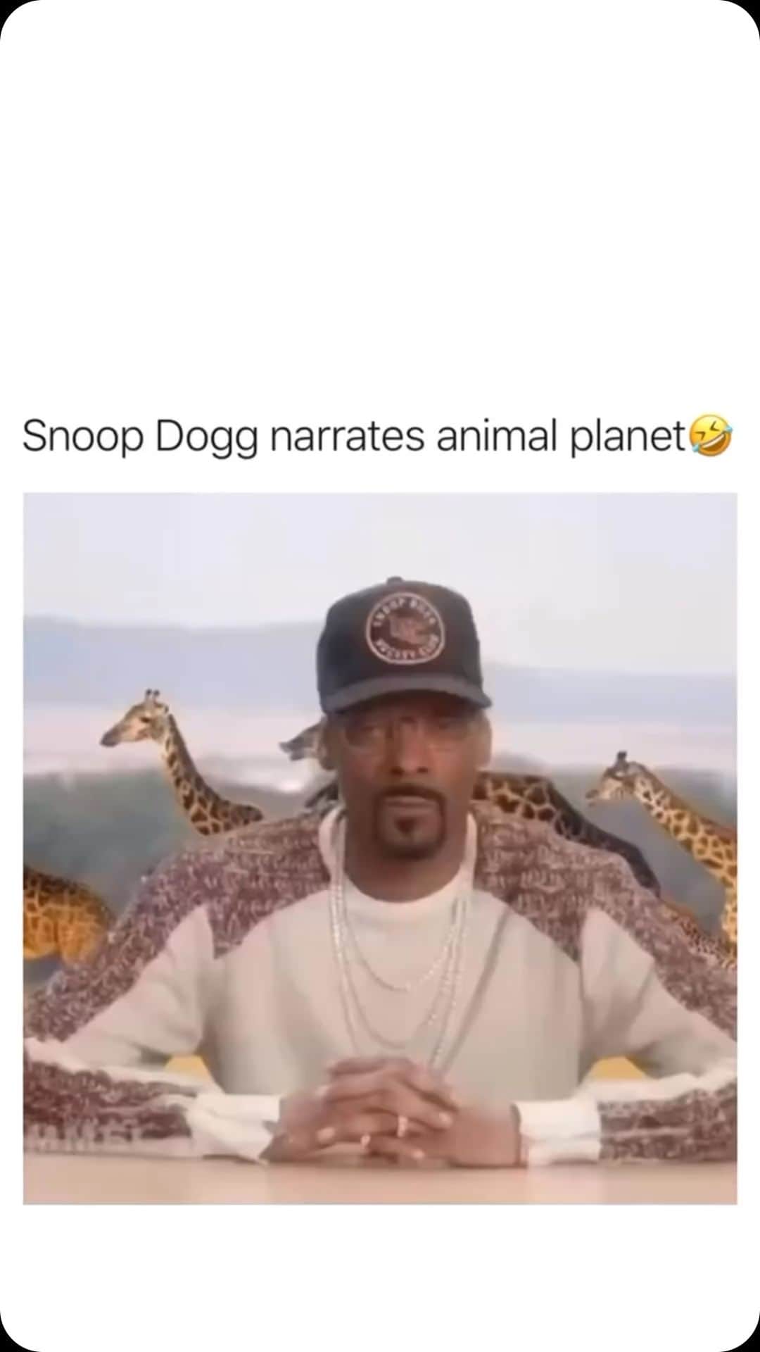スヌープ・ドッグのインスタグラム：「🐶🐯🙈🐸🐺🦉🐴🐛」