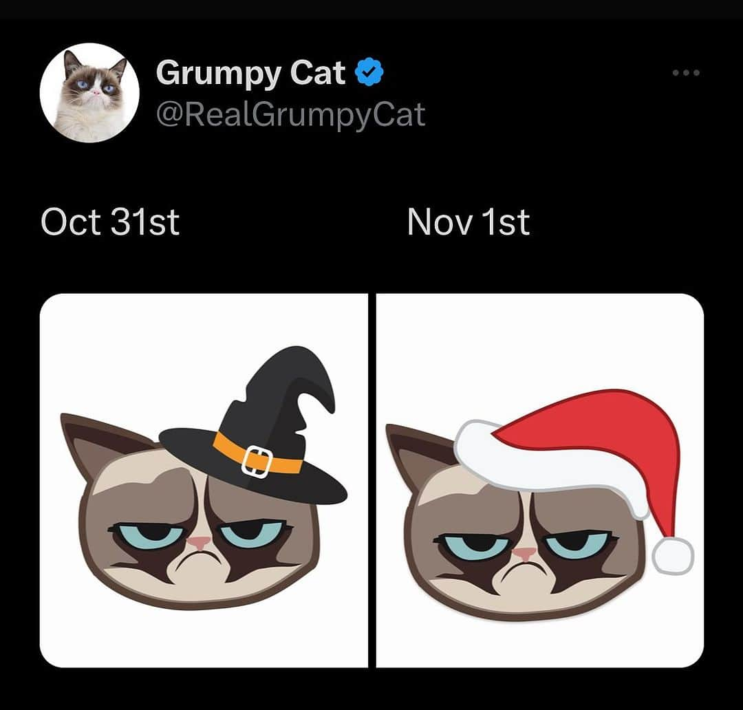 Grumpy Catのインスタグラム