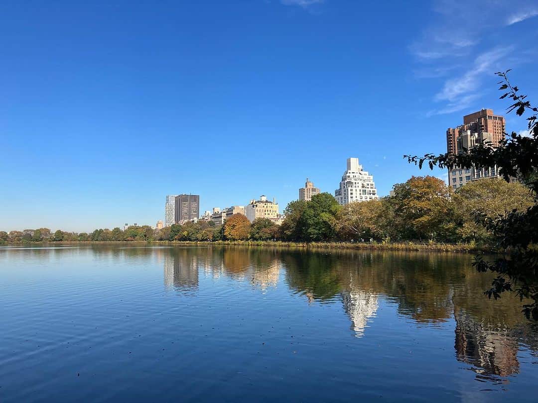 ふかしさんのインスタグラム写真 - (ふかしInstagram)「セントラルパークを散策して行き着いたところ。開放感に感動。広すぎて回りきれず。  #セントラルパーク #ニューヨーク #🗽 #centralpark  #nyc  #newyork」11月2日 6時47分 - fukashi