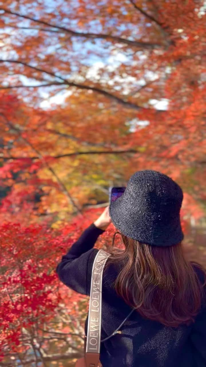 小林沙弥香のインスタグラム：「⁡ ⁡ 陽が当たると 一気に紅く染まる紅葉が なんとも素敵で...🍁 ⁡ この日の気温は16°☀️ 日陰は少しひやっとしたけど 日中は長袖でちょうどいいぐらいでした✨ ⁡ ⁡ 軽井沢の紅葉初めてみたけど 雲場池の道中もかなり紅葉していて ドライブしてるだけで楽しめました😊🍂 ⁡ 紅葉最高...🥲🧡 ⁡ ⁡ ⁡ #紅葉 #軽井沢 #雲場池 #1周20分弱 #ドライブ #旅行 #trip #japan #nagano #karuizawa #kumobaike」