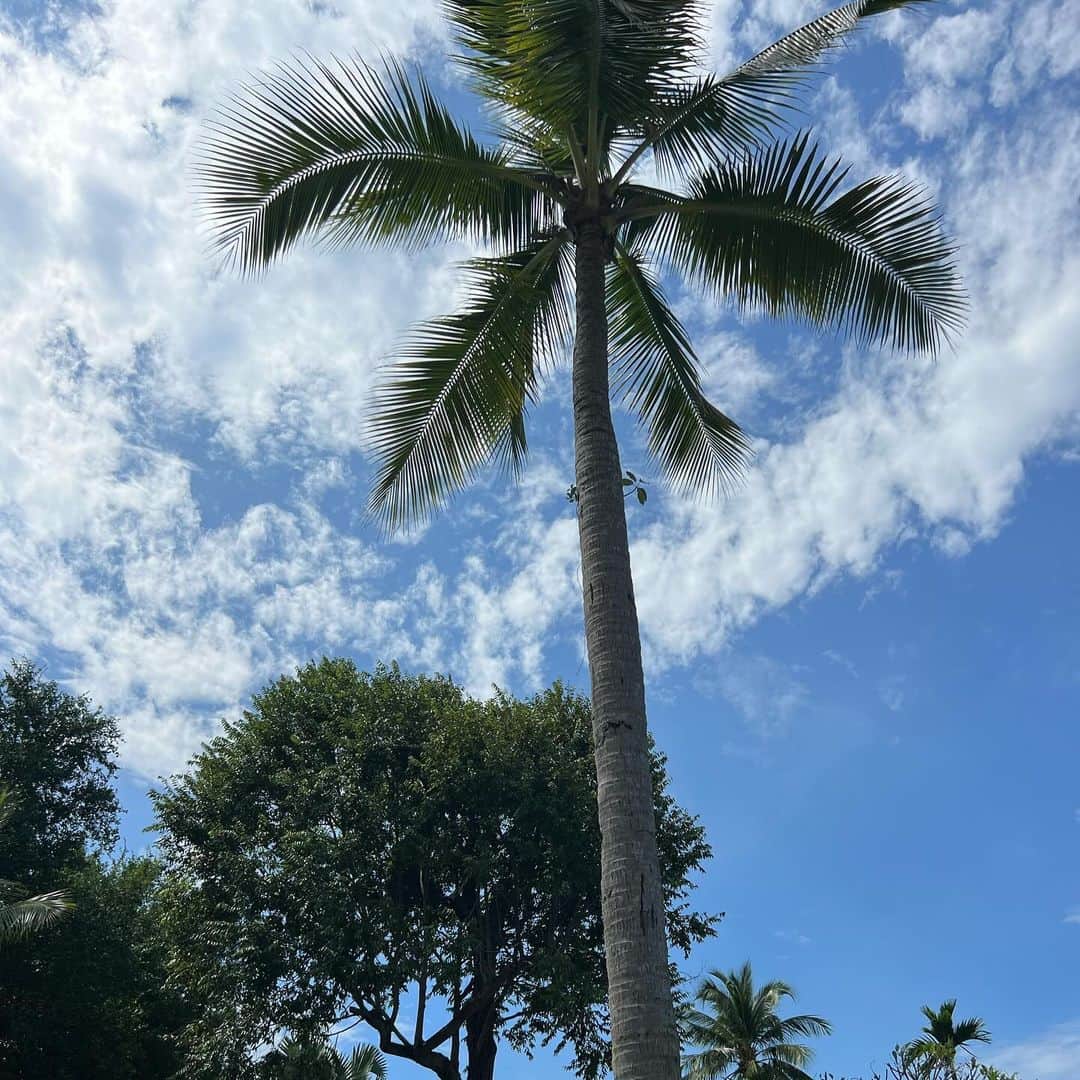 イプシー・キーラティのインスタグラム：「Moments :)) 🤍」
