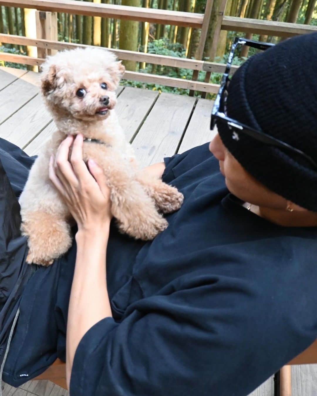 山岸祐也さんのインスタグラム写真 - (山岸祐也Instagram)「. レオ6歳の誕生日おめでとう！！ ３枚目のレオ激かわすぎない？？ 癒されるくない？？ 帰ったら @takechan0404  のおごりで 誕生日会しないと🎁 1番高い料理いっぱい食べまくろ！！  #トイプードル」11月2日 7時23分 - yuuuuuuya0829