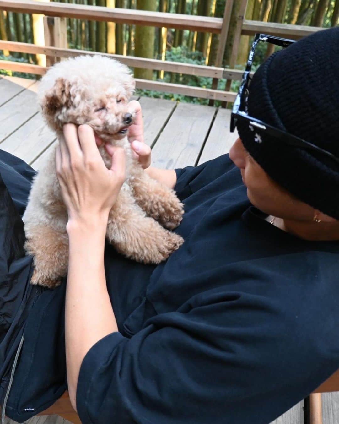 山岸祐也さんのインスタグラム写真 - (山岸祐也Instagram)「. レオ6歳の誕生日おめでとう！！ ３枚目のレオ激かわすぎない？？ 癒されるくない？？ 帰ったら @takechan0404  のおごりで 誕生日会しないと🎁 1番高い料理いっぱい食べまくろ！！  #トイプードル」11月2日 7時23分 - yuuuuuuya0829