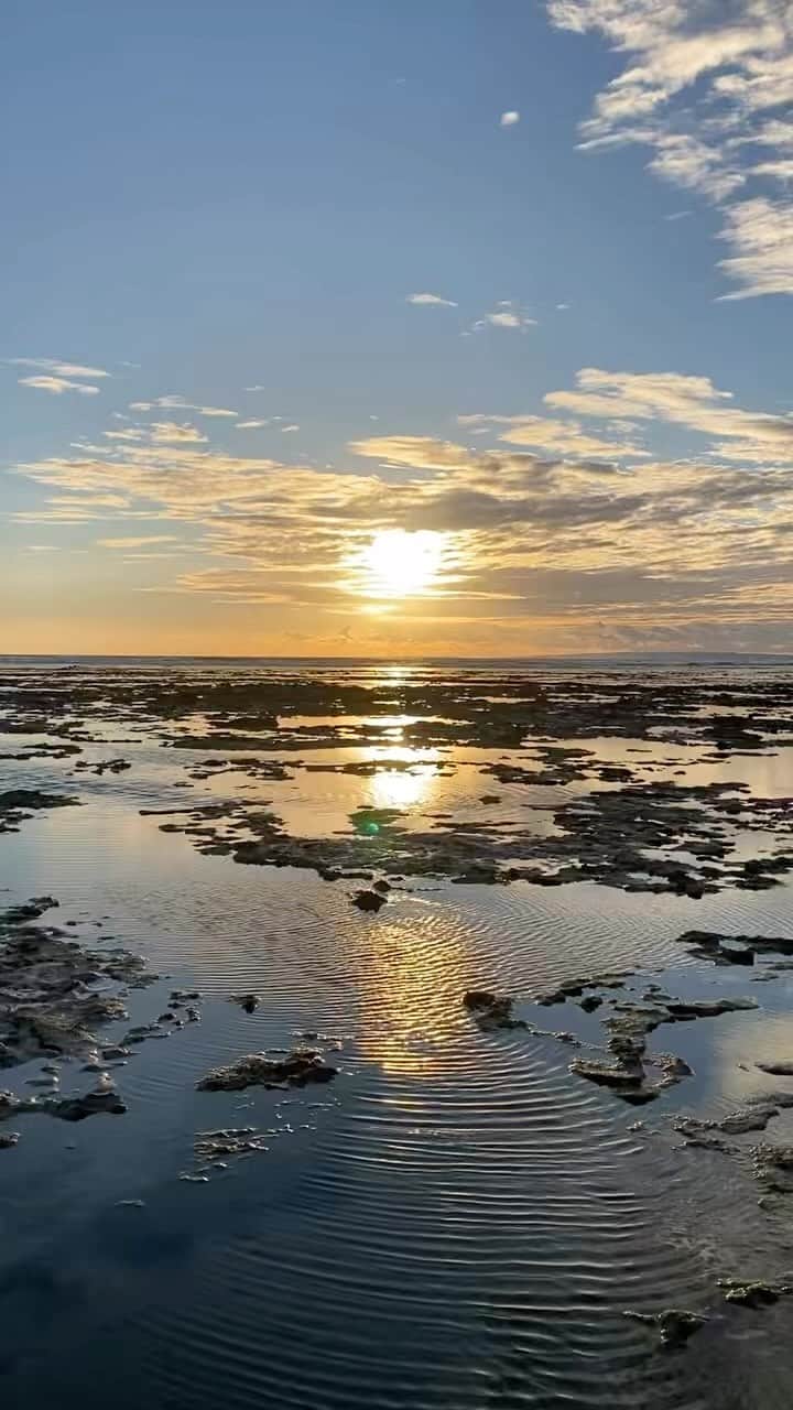 長与千種のインスタグラム：「・ おはようございます☀ まだまだ時差ボケが酷く2時間おきに目が覚めてしまいます🤣なので朝イチから海を見に行きました。干潮だったので少し先に行けましたが。自然の美しさを皆様にも✨ #奄美大島郡 #夜明けの海 #サンライズシー」