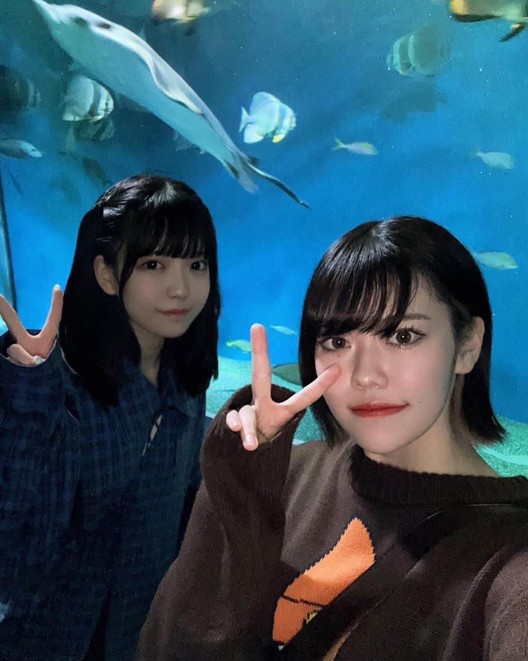 みぽたぽたさんのインスタグラム写真 - (みぽたぽたInstagram)「のぴたんとアクアパークに行った時の🐬 お魚たち大好きすぎるˆ- ̫-ˆ」11月2日 8時29分 - mipochan.jp