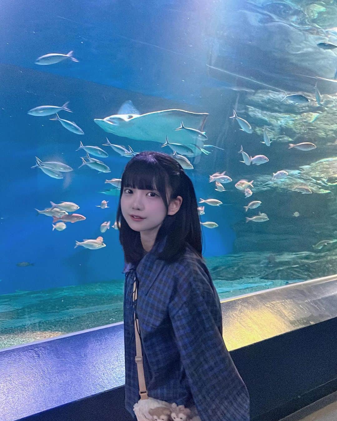 みぽたぽたのインスタグラム：「のぴたんとアクアパークに行った時の🐬 お魚たち大好きすぎるˆ- ̫-ˆ」