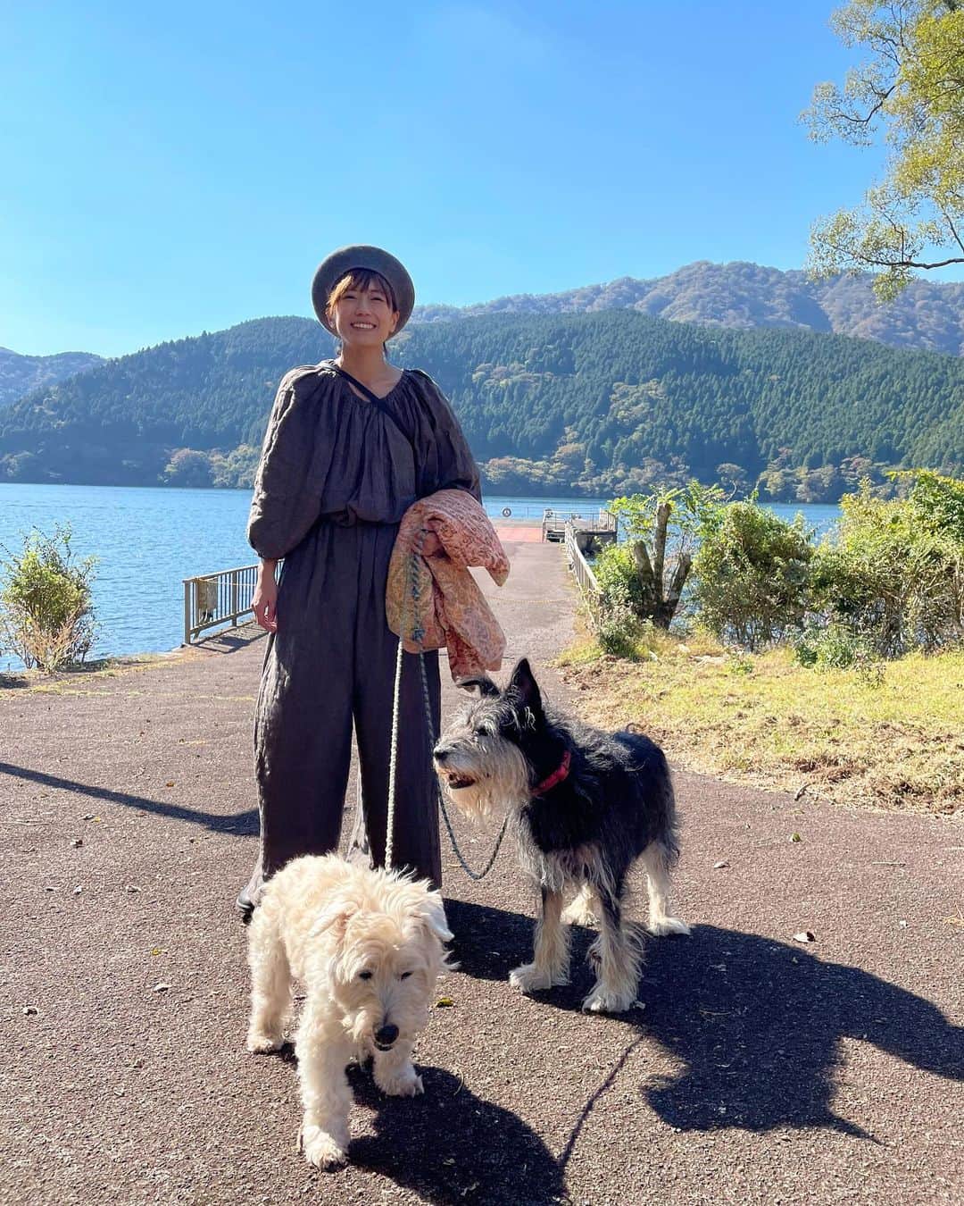 甲斐麻美のインスタグラム：「🌱🌱🌱  笑いっぱなしで ドキドキして 最高に幸せだった日  あーっ 幸せだなぁって思う時 自分の周りにある全てに もっと感謝する  「ありがとう」 という気持ちを存分に感じることで 幸せ成分が、ますます自分に染み込むみたい  🐉🐉🐉  #20231102 #kaicoの好日 #いぬとわたし #犬とわたし #元保護犬 #保護犬を家族に」