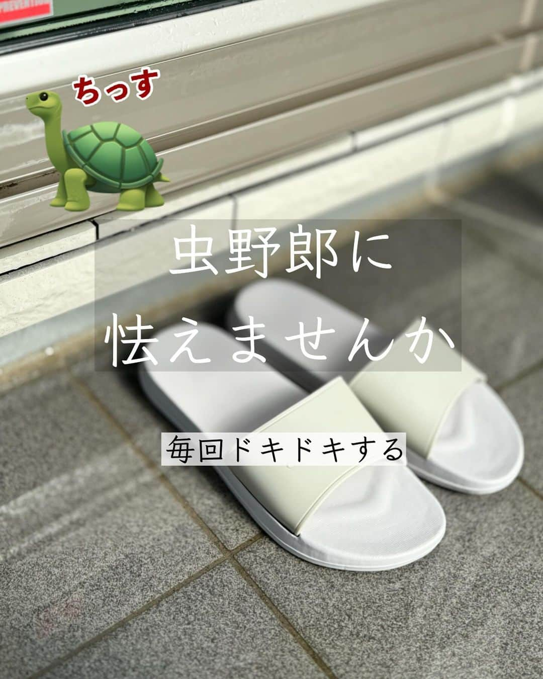 ともぞーさんのインスタグラム写真 - (ともぞーInstagram)「外に置きっぱだと🐢虫野郎に怯えていたのですが、 これで悩み解決！！  使った商品は セリア「貼って剥がせる　バスシューズ専用ホルダー」  バスシューズじゃないけど貼ってみたよー！  タイルやガラスに使えるから、アイデア次第ではさらにいろいろ使えそう！！  探してみてねー🦣💋  @tomozo___life   #セリア　#セリア購入品　#セリアオススメグッズ #おすすめ　#買ってよかった」11月2日 18時20分 - tomozo___life