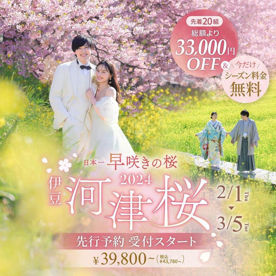 のインスタグラム：「🌸河津桜のご予約開始🌸 オータムキャンペーン開催中✨ 紅葉の空き枠はロケ地自体の空き状況もあり残り僅かとなりました🍁イルミネーションのご予約開始しています！ その他スタジオ見学も可能です🎵 屋内庭園スタジオには紫陽花が入り季節感もアップ⤴️ ハウススタジオにフラワーショップのようなお花も入りました💐 雨の心配もないので安心して室内で外のようなお写真が残せます ⁡☀️  #河津桜  #撮る結婚式  #スタジオアクア #フォトウェディング #前撮り スタジオアクア新宿店🌱 ▷▷ @studioaqua.shinjuku  ⁡ デコルテ公式アカウント ▷▷ @decollte_weddingphoto  -——————————— ▷ フォトグラファー ▷ ヘアメイク ▷ フォトプランナーの仲間を募集中！  私たちと一緒に働きませんか？ 詳しくは @decollte_recruit へ🍀」