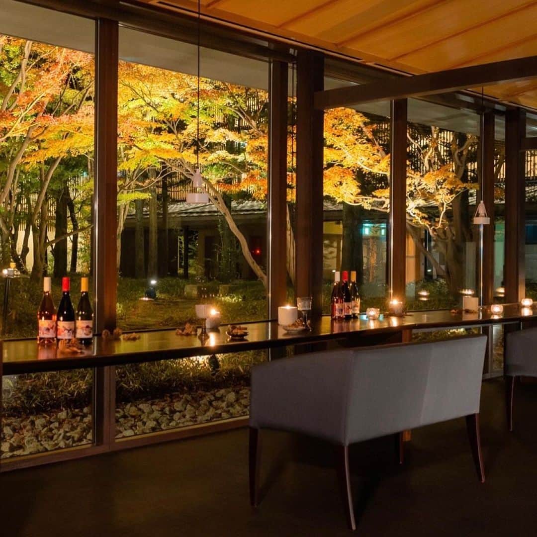 星野リゾート 界の若者旅さんのインスタグラム写真 - (星野リゾート 界の若者旅Instagram)「界 鬼怒川では、11月1日から11月21日までの期間限定で「夜もみじワインバー」を開催します。 中庭のライトアップされた紅葉を眺めながら、足利市にある「ココ・ファーム・ワイナリー」のワインと宇都宮市の「Otowa restaurant」特製のフィンガーフードを、栃木県の伝統工藝品「益子焼」の器で提供します。 栃木の魅力と共に、界 鬼怒川自慢の中庭で特別な秋夜のひとときをお過ごしください。  KAI Kinugawa will hold "Night Momiji Wine Bar" from November 1 to November 21. While viewing the illuminated autumn leaves in the courtyard, wine and finger foods locally produced will be served in traditional Tochigi Prefecture "Mashiko ware" dishes. Please enjoy a special autumn evening in the courtyard of KAI Kinugawa with the charm of Tochigi.  #星野リゾート #界 #界鬼怒川 #栃木 #鬼怒川 #鬼怒川温泉 #温泉 #温泉旅館 #温泉旅行 #紅葉 #ワインバー #中庭 #hoshinoresorts  #kai #kaikinugawa #Japantravel #hotsprings #onsen #ryokan #nikko #foliage #winebar #courtyard」11月2日 18時36分 - hoshinoresorts.kai