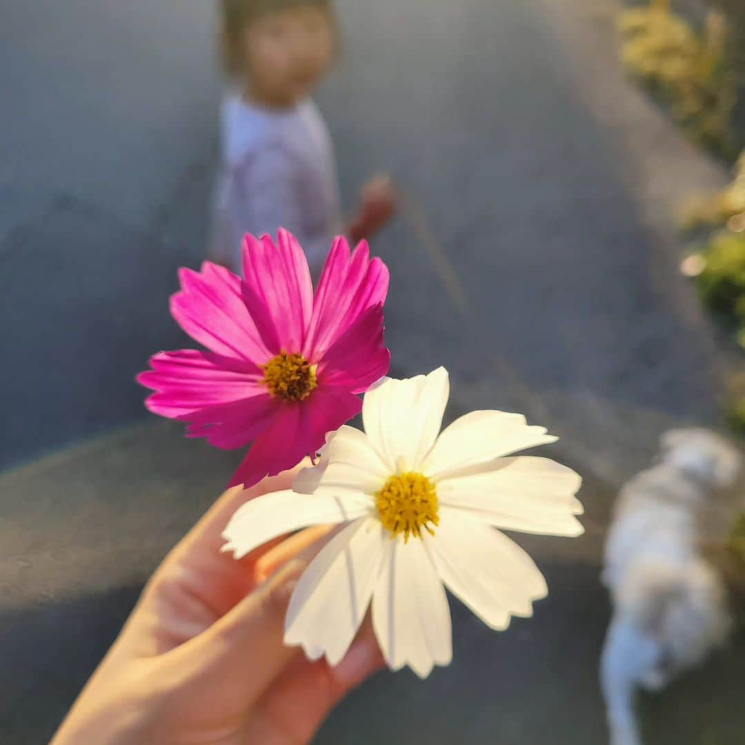 本仮屋リイナのインスタグラム