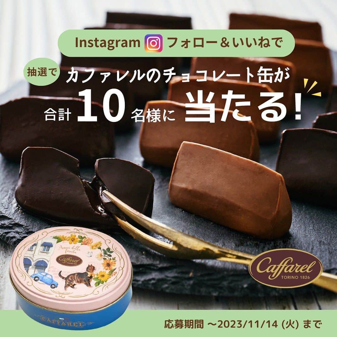 カファレルチョコレートのインスタグラム：「. 【カファレルInstagram秋のプレゼントキャンペーン🍁】   抽選で10名の方に、カファレルの新コレクションをプレゼントいたします🍄  【アミーチ・デッラ・フォレスタ】  イタリアのトリノに住むねこの冒険を描いたチョコレート缶シリーズです🇮🇹🐈  ある日、ねこが街を飛び出して森に迷い込むと、たくさんの動物たちに出会いました。 新しいお友達と楽しいティータイムが始まります☕️✨  「食欲の秋」「読書の秋」「スポーツの秋」... 皆さんはこの秋に挑戦したいことはありますか？ この投稿にコメントすると当選率がアップするかも🍄  ●賞品 ・アミーチ・デッラ・フォレスタ5粒(チョコレート 5粒入り）  ●当選人数： ・10名様   ●キャンペーン期間： 2023/11/2(木) 19時　～　2023/11/14(火) 10時    ●当選連絡日： 2023/11/15(水)～順次    ●参加方法 ①カファレル公式Instagram（@caffarel_hy）をフォロー ②キャンペーンの投稿をいいね   ●当選結果 応募期間終了後、InstagramアカウントのDMにてご連絡いたします。  ●注意事項 ・ご応募は日本国内在住の方のみとさせていただきます。 ・賞品は当選結果ご連絡後、順次発送いたします。 ・お預かりした個人情報は、本キャンペーンの発送にのみ使用致します。 ・ご当選された方にはInstagramのダイレクトメッセージにてご連絡いたします。 ※賞品発送のため、お届けご希望の住所をお伺いいたします。記載の期日までにご返信をお願いいたします。 ※期日までにご返信の無い場合、誠に恐れ入りますが当選は無効とさせていただきます。 ※【公式】カファレルチョコレート「@caffarel_hy(Instagramアカウント)」よりご連絡いたしますので、なりすましアカウントにはくれぐれもご注意くださいませ。 -*-*-*-*-*-*-*-*-*-*-*-*-*-*-*-*-*-*」