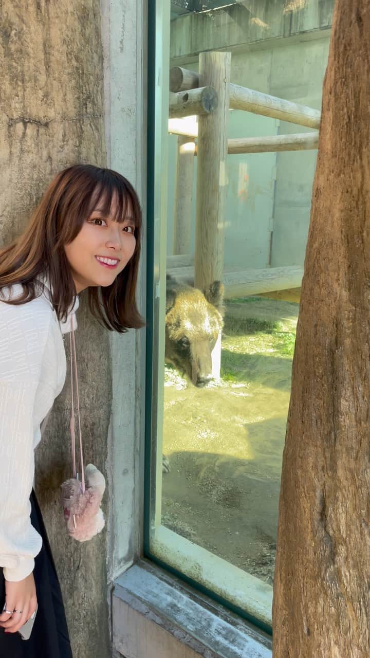 益田愛里沙のインスタグラム：「びっくりさせるのが上手い熊だったわ、」
