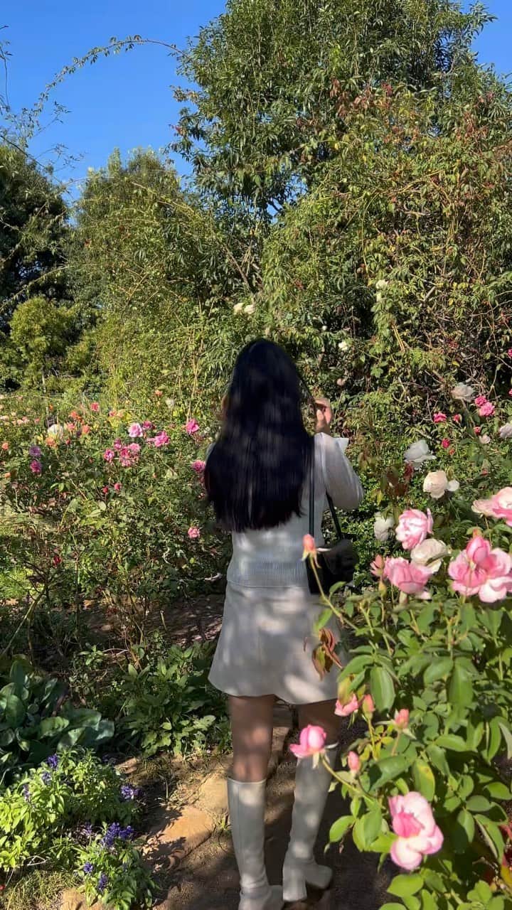 れみぱんのインスタグラム：「秋散歩🌹」