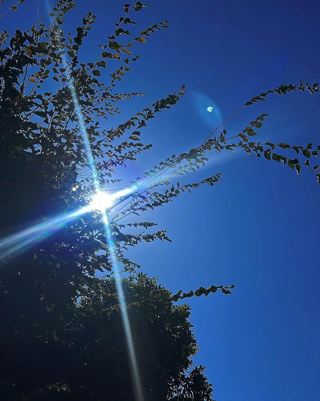 のインスタグラム：「最近の空と 癒し。🤝🏻」