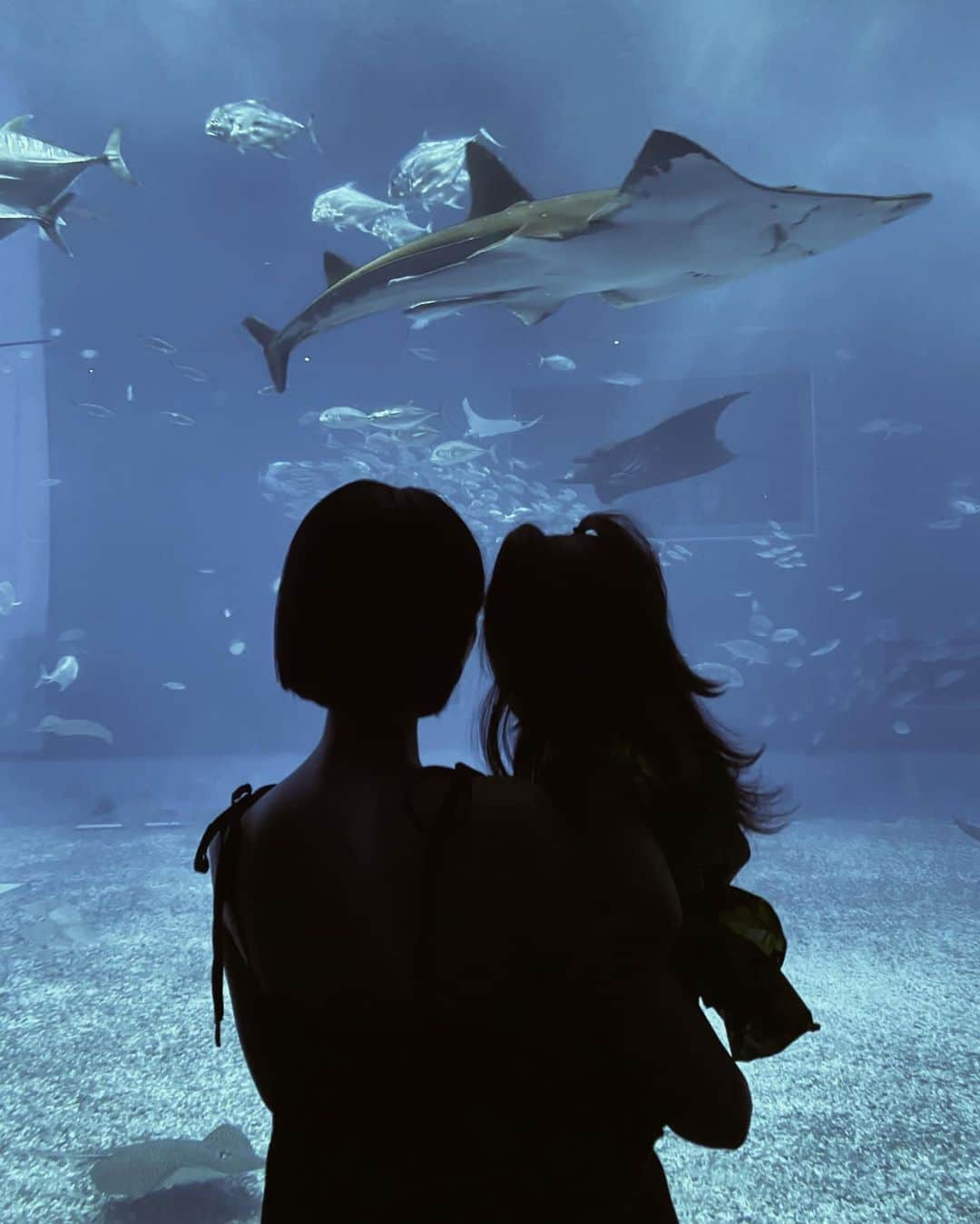 石川マリーのインスタグラム：「📍沖縄／Okinawa こちらも行ってみたかった【美ら海水族館】🐠  娘が喜びそうだから🎶と行ったんだけど あのジンベエザメは大人でも感動したなぁ🥹✨  イルカショーを見たり、イルカの餌やりもやったり 大満喫してきました🫶🏻  大好きな色「Yellow」のお魚も見れて💛 ニモもドリーもエイ先生も見れて 良かったね、めあちゃん😍 ． ． ． ． ． ． ． #沖縄 #沖縄旅行 #沖縄観光 #美ら海水族館 #水族館 #夏の思い出 #家族旅行 #子連れ旅行 #国内旅行 #旅行 #観光 #旅スタグラム #旅の思い出 #こどものいる暮らし #ママ #ママライフ #女の子ママ #大阪ママ #関西ママ #ママスタグラム #momlife #okinawa #japan #trip #travel #travelgram #churaumiaquarium #aquarium」