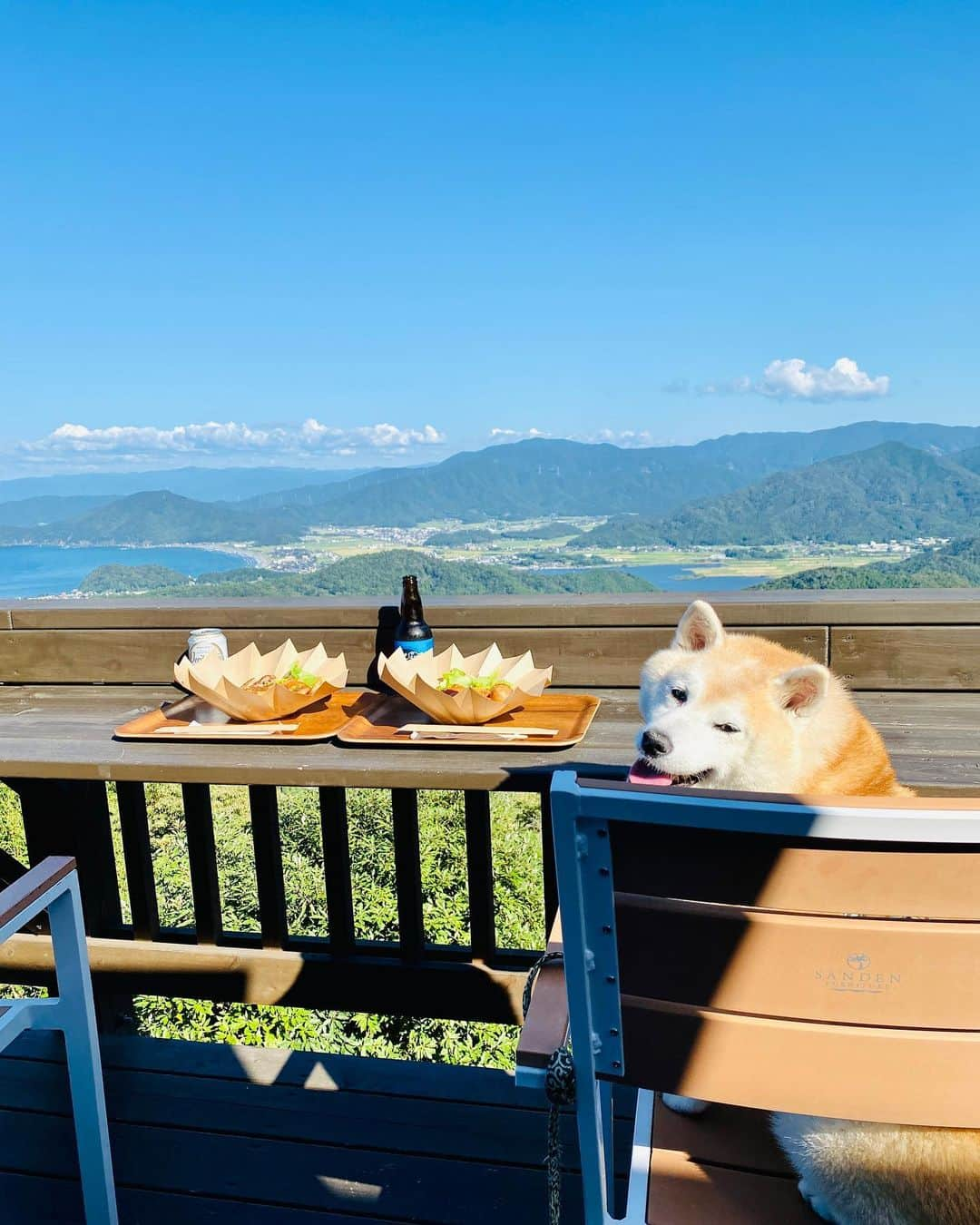 Kazumi-Gakumamaさんのインスタグラム写真 - (Kazumi-GakumamaInstagram)「福井県美浜町から若狭町を結ぶ全長11.24kmの「三方五湖レインボーライン」は絶景のドライブロードです🚗💨 *  山頂まで行く前に腹ごしらえ😋 山麓第一駐車場内にあるレストラン&カフェ「レインボー」はテラス席ならワンコも同伴可です🉑 *  福井県名物のボルガライスと山の上ステーキライスをチョイス🍽️ 若狭ビールヴァイツェンも美味しかったね~♪🍺 絶景を楽しみながら岳と一緒に食事が出来るなんて本当に幸せでした💝 *  そのレインボーラインに行く途中で知り合ったご家族と記念撮影📷 MちゃんSくん、岳をずうっと撫でてﾒｯﾁｬ可愛がってくれました🐕 とっても素直で可愛い姉弟でした💕 🐾----*----*----*----🐾 The Mikata Goko Rainbow Line, which has a total length of 11.24 km and connects Mihama Town to Wakasa Town in Fukui Prefecture, is a scenic drive road🚗💨 * Before going to the top of the mountain, I had a meal😋 The restaurant and cafe "Rainbow" located in the first parking lot at the foot of the mountain allows dogs if you have a terrace seat 🉑  *  Our family chose the Fukui prefecture specialty Volga rice and Yamanoue steak rice 🍽️ Wakasa beer weizen was also delicious🍺 I was really happy to be able to eat with Gaku while enjoying the spectacular view💝 * I took a commemorative photo with a family I met on the way to the Rainbow Line 📷 M-chan and S-kun kept patting Gaku and loving him🐕 They were very honest and cute siblings 💕 🐾----*----*----*----🐾 #柴犬 #岳 #柴犬岳 #柴犬ガク#gaku #shibainugaku #shiba #shibainu #shibastagram #いぬすたぐらむ  #dogsofinstagram #ワンフルエンサー  #hermoso #Instagram #weeklyfluff #🐕📷 #dailyfluf #福井県観光連盟 #若狭三方五湖観光協会 #若狭湾観光連盟 #福井県 #福井 #若狭 #レインボーライン #レストランカフェレインボー #ボルガライス #若狭ビール  #犬旅 #柴犬岳の #20231102」11月2日 10時32分 - shibainu.gaku