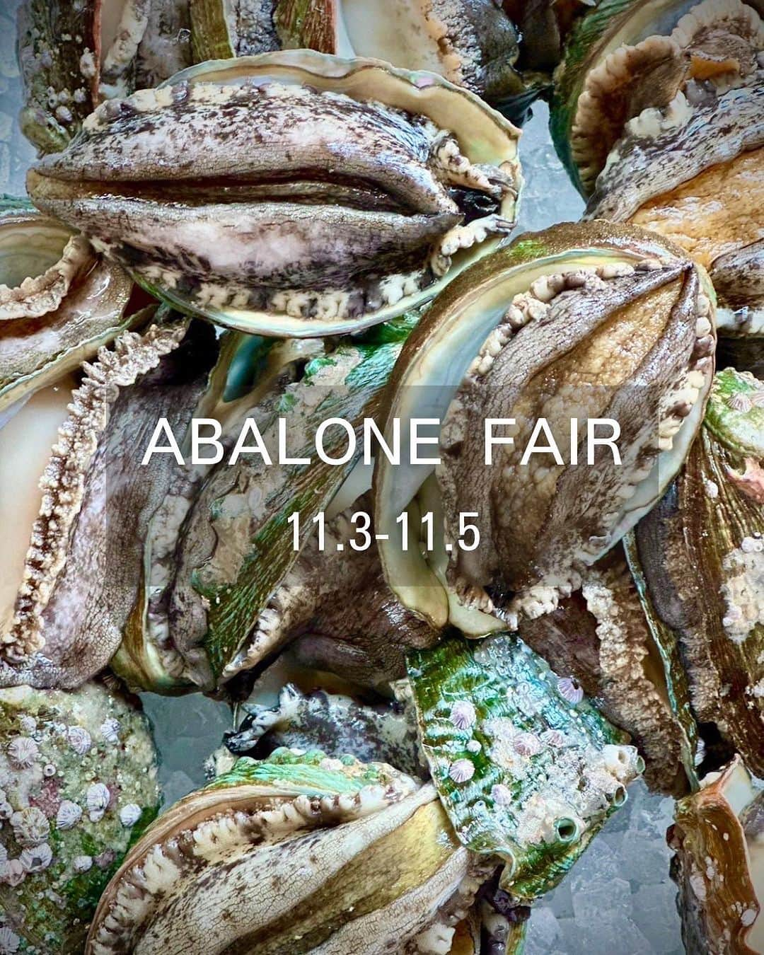 THE RIGOLETTOさんのインスタグラム写真 - (THE RIGOLETTOInstagram)「【ABALONE FAIR 】 11/3-5 アワビフェア開催致します！  高級アワビとして有名な黒アワビの北方系亜種と言われている蝦夷アワビ 歯ごたえと濃厚なコクのあるうまみをもち、身がしまっているため食感が良いのが特徴のアワビを存分に使ったSpecial Menuをご用意しました。  ・シーフードプラッター 乾杯と一緒にお食事のスタートを楽しんでいただく為に、北海道の蝦夷アワビ、ズワイガニ、兵庫の牡蠣、スコティッシュサーモン、赤えびを1皿に贅沢に詰め込みました。  ・蝦夷アワビと霜降り平茸のカサレッチェ 柔らかくスチームした蝦夷アワビと肉厚でジューシーな味わいの霜降り平茸を使って和風パスタに仕上げました。  こちらのメニューはなくなり次第終了致します。 THCからご予約頂いた方限定で、先着お取置きも可能です！  お取り置きする際には、「インスタ見た」「スペシャルメニューのお取り置きする数」を、ご予約確定の最終ページのメッセージにお書きください。  皆様のご予約お待ちしております。  ご予約は私たちの公式サイト、アプリから承っております。 プロフィールのURLをご覧ください。 . . ≪ALL NATURAL≫ NO MSG and ZERO TRANS FAT,ORGANIC SUGAR,NATURAL SALT    THE RIGOLETTO 東京都渋谷区渋谷1-23-21 渋谷キャストGF/1F 03-6631-1129 http://www.rigoletto.jp/shibuya/ . . HUGE公式アプリは[App Store] または [Google Play] で 【🔎ヒュージクラブ】 で検索！ ▼ダウンロードURL▼ https://s.huge.co.jp/3k5Mbmx  #therigoletto #rigoletto #リゴレット #リゴレット渋谷 #渋谷 #渋谷 #渋谷グルメ #渋谷ディナー #渋谷ランチ #渋谷カフェ #渋谷イタリアン #イタリアン #イタリアンレストラン #イタリアンランチ #蝦夷アワビ #イタリアン料理 #イタリアンディナー #スペイン料理 #スパニッシュ #bar #italian #spanish #shibuya #shibuyabar #shibuyalunch #shibuyadinner #shibuyarestaurant #thehugeclub #huge_restaurant #huge_rigoletto」11月2日 11時04分 - rigoletto_shibuya