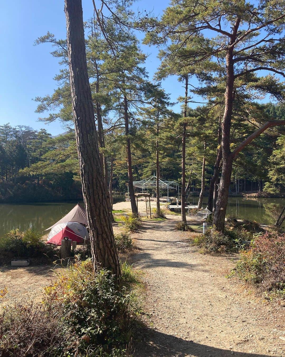 三宅洋平のインスタグラム：「先日、妻子が長野へ旅した際にたまたま泊まった阿智と下條の間らへんのお宿が、来年犬式の出演が内定しているフェスを主催するキャンプ場だったと言う偶然のご縁から、この度の長野行きでお世話になりました。3代目夫妻とお仲間、そして親御さんたちで仲良く営むお宿とグランピングとキャンプ場。入り口にDEAL @freepaperdeal が置いてある、そう、我らの文明開化！  おおぐて湖キャンプ場「しらさぎ荘」 2024年5/18・19 https://www.nuposition.net/  @inushiki2017」