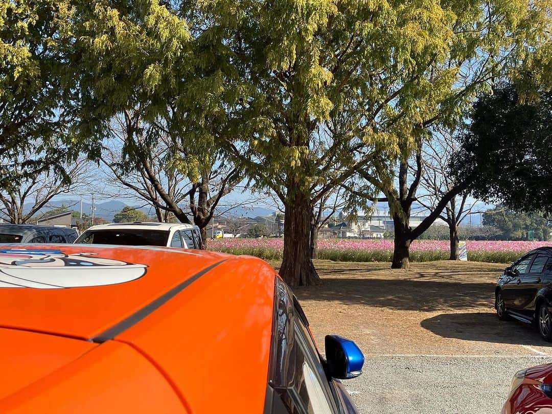 のインスタグラム：「総務部人財開発課の独り言　554  本日は日田方面を訪問🚙  途中朝倉のキリンビール福岡工場 『キリンコスモスフェスタ2023』を見学👀  ビックリする規模です。  今週末まで開催みたいです。  お近くにお越しの際は是非🫠  #足場のダイワ #吊足場 #足場 #企業公式相互フォロー #キリンコスモスフェスタ2023  #キリンビール福岡工場コスモス園」