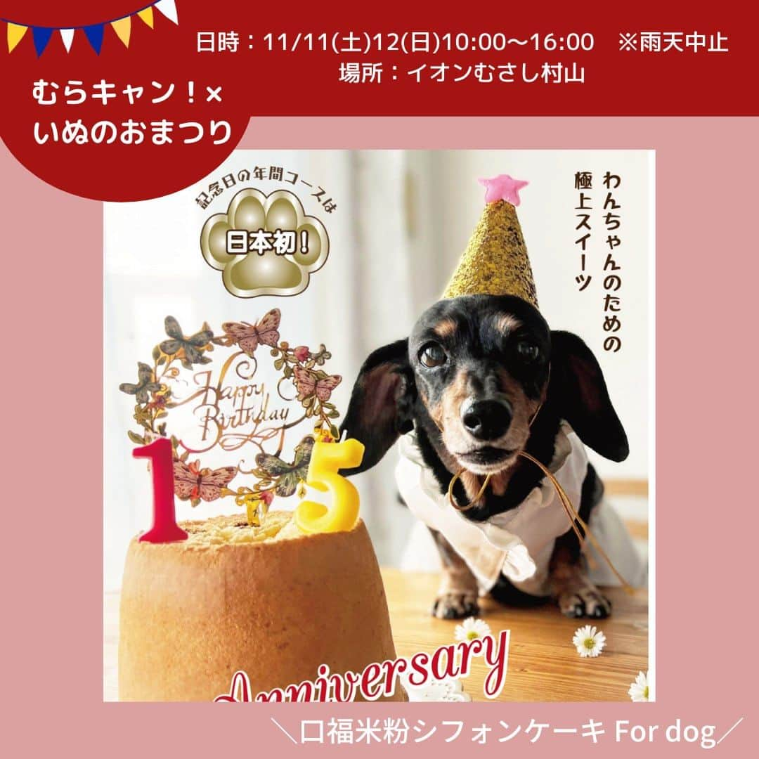 甲斐麻美のインスタグラム：「・ 11月11日(土)・12(日) いぬのおまつり@イオンモールむさし村山  【 テント㊺ 】 11/12(日)のみ  ＼口福米粉シフォンケーキ For dog／ （@koufuku.komeko.chiffon ） ▶わんちゃん用米粉シフォンケーキ 　 ----------  わんちゃんの為の米粉シフォンケーキ屋さんです。 余計なものは一切使わず、ノンオイル・ノンシュガー・ノングルテンで焼き上げて いますので、安心して食べさせて頂けます！ しかも、わんちゃんに大好評！！ お誕生日やふだんのおやつ、犬友さんへのプレゼントとして大変喜ばれています。 また、革の首輪もありますので、是非お立ち寄り下さい！ ５種類の米粉シフォンケーキをご用意して、お待ちしております＾＾  ---------- ※事前予約等は各出店者様のDMへ 直接お問い合わせ下さい  ====================== むらキャン！× いぬのおまつり ======================  ■日時：11月11日(土)・12(日)10:00～16:00 ※雨天中止 場所：イオンモールむさし村山 　　　　たいかんたいけん野外広場 東京都武蔵村山市榎1-1-3  #いぬのおまつり　 #武蔵村山市 #武蔵村山 #むさし村山 #イベント運営 #いぬとわたし #犬との暮らし #犬ファースト #犬好きさんと繋がりたい #犬がいないと生きていけません #犬好き #犬のイベント #犬イベント #犬とお出かけ #いぬすたぐらむ #わんちゃん用米粉シフォンケーキ #ワンコのおやつ」