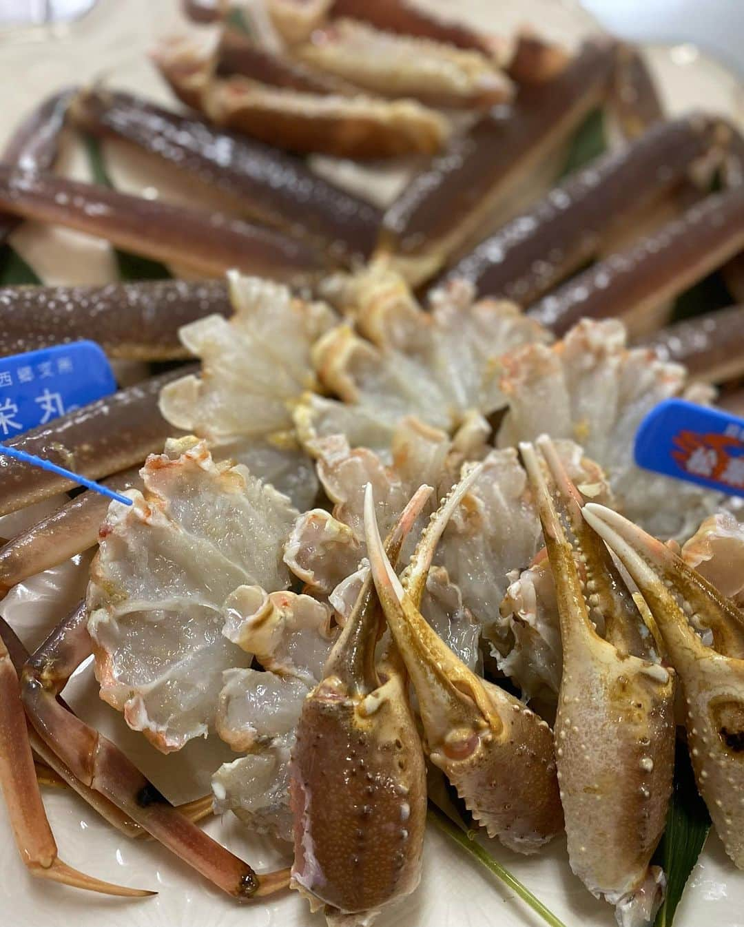 有福温泉 旅館ぬしやのインスタグラム：「こんにちは😃 旅館ぬしやでございます。 今年のカニ懐石が始まりました♪  #旅館ぬしや  #島根県観光 #日本旅行 #温泉旅行♨️ #温泉♨️ #旅館ご飯 #家族旅行 #記念日旅行 #高級旅館 #旅館ご飯 #美味しい #美しい景色 #自然 #露天風呂付き #露天風呂付客室 #家族風呂 #hotel #japantrip2023 #travel #江津市 #和室 #旅館の朝食 #溫泉旅館 #温泉デート #リラックス #落ち着く場所 #季節料理 #地元食材#高級旅館 #温泉♨️ #島根県観光 #温泉デート #秋」