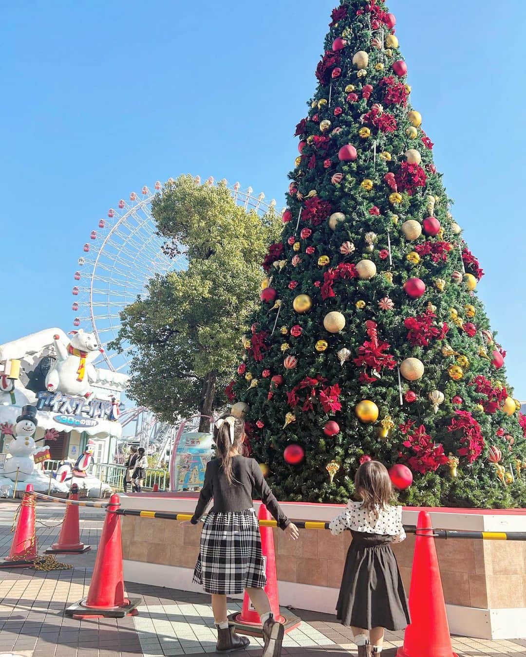 mariomi324のインスタグラム